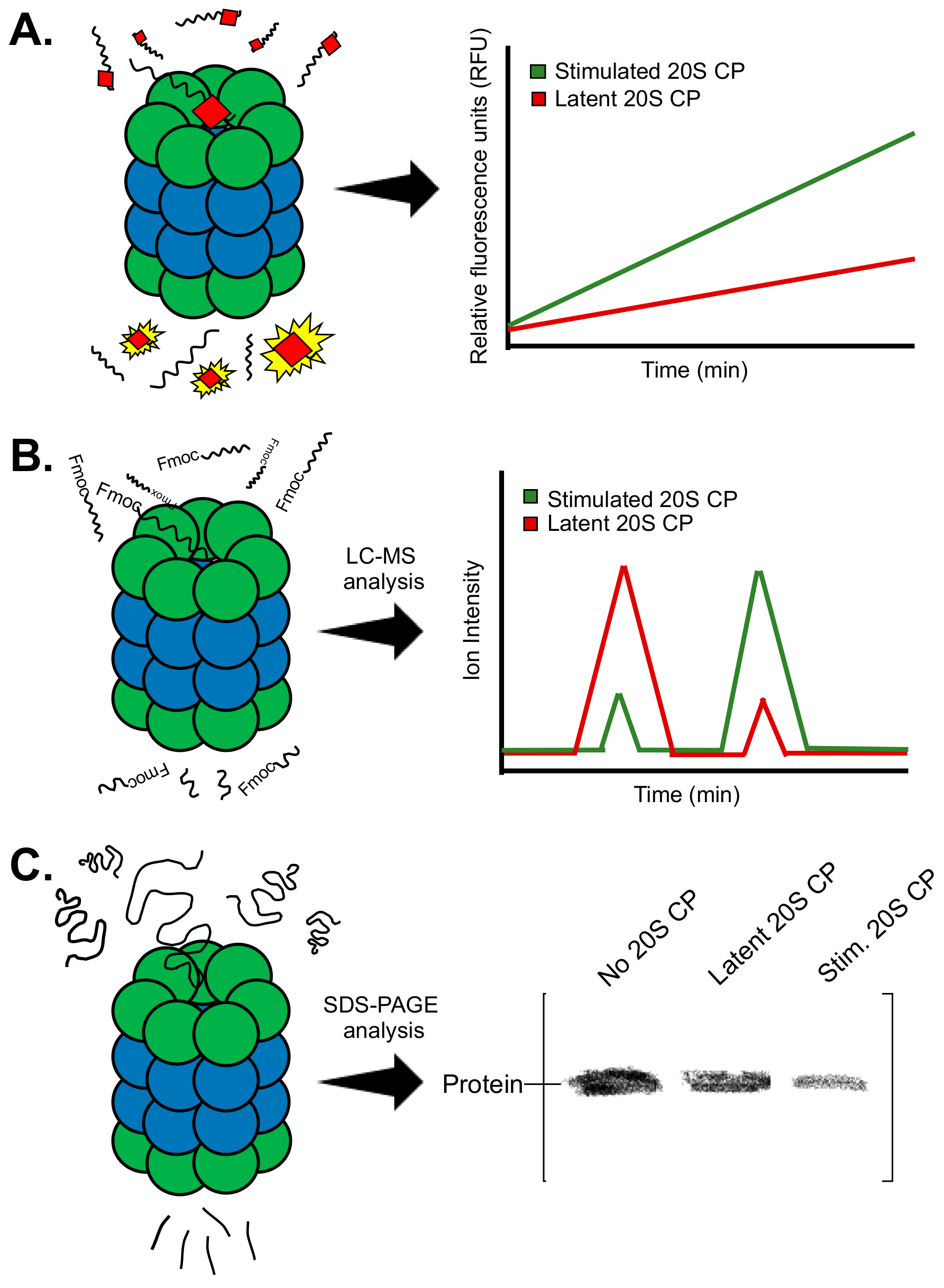Molecules 24 02341 g002