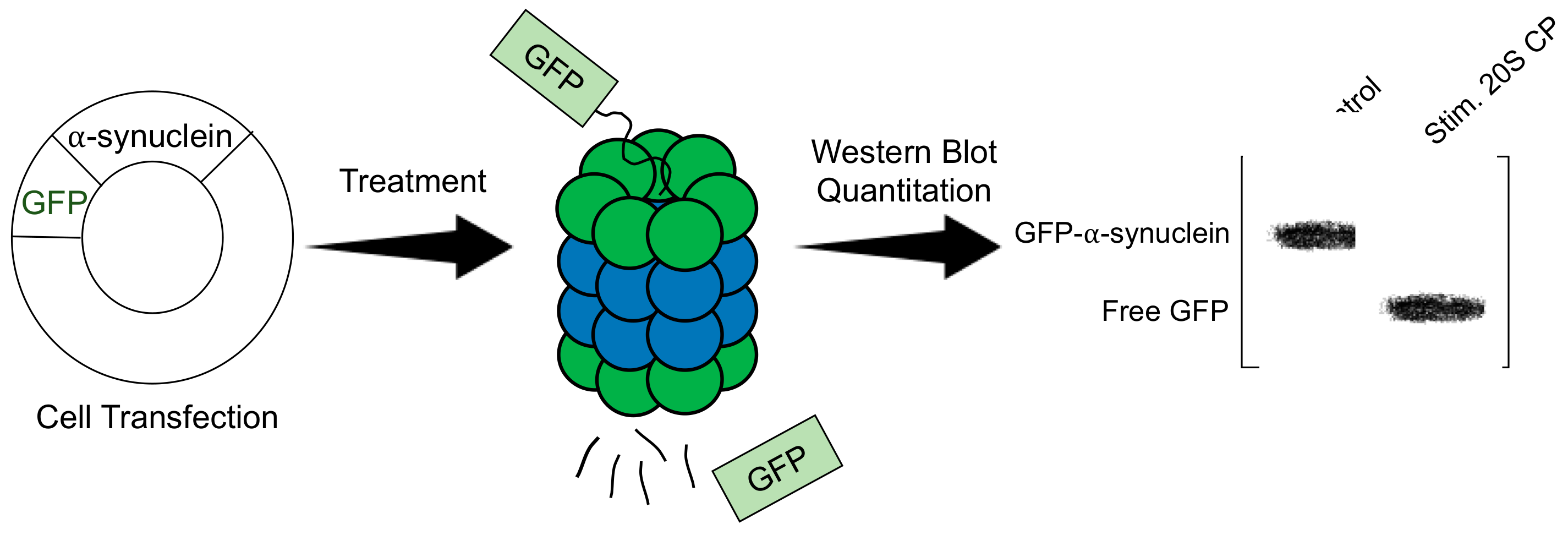 Molecules 24 02341 g004