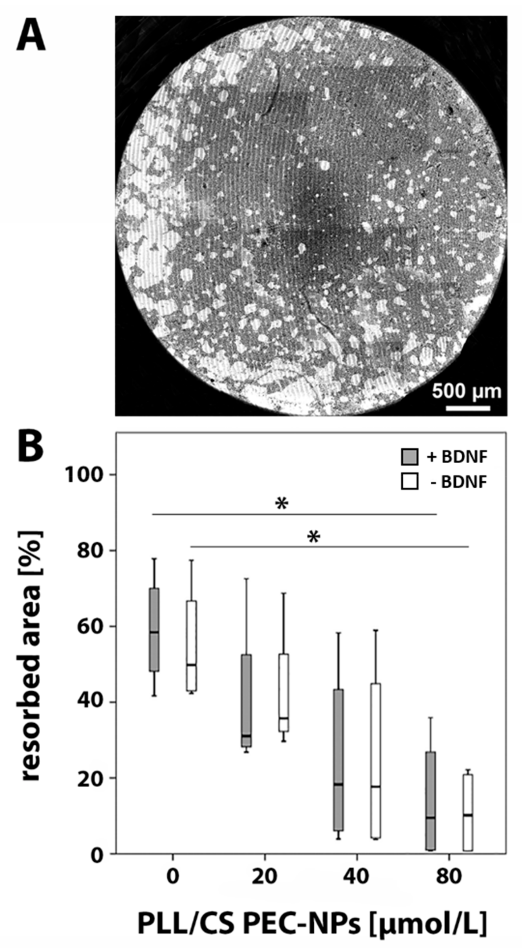 Molecules 24 02346 g004