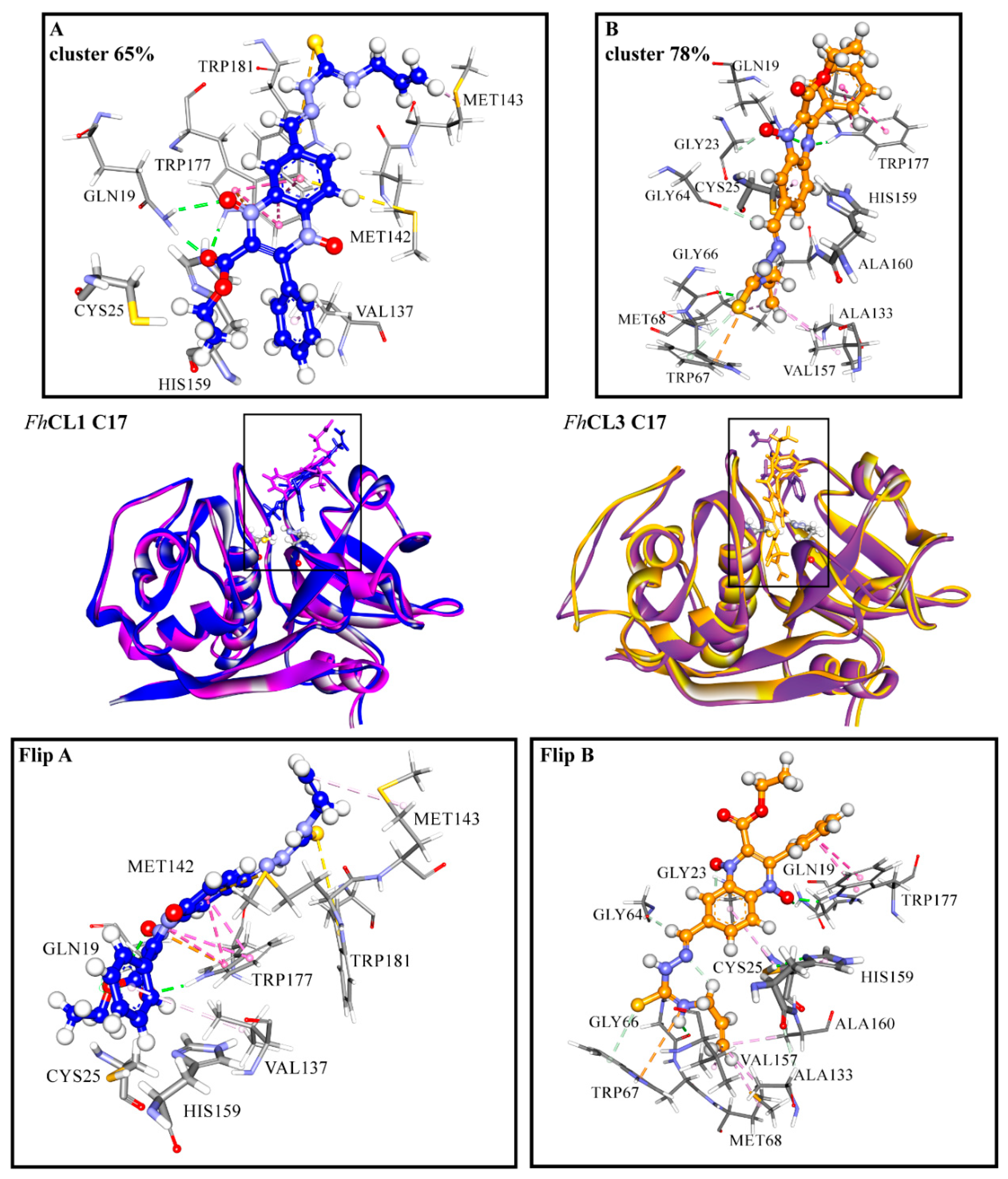 Molecules 24 02348 g007