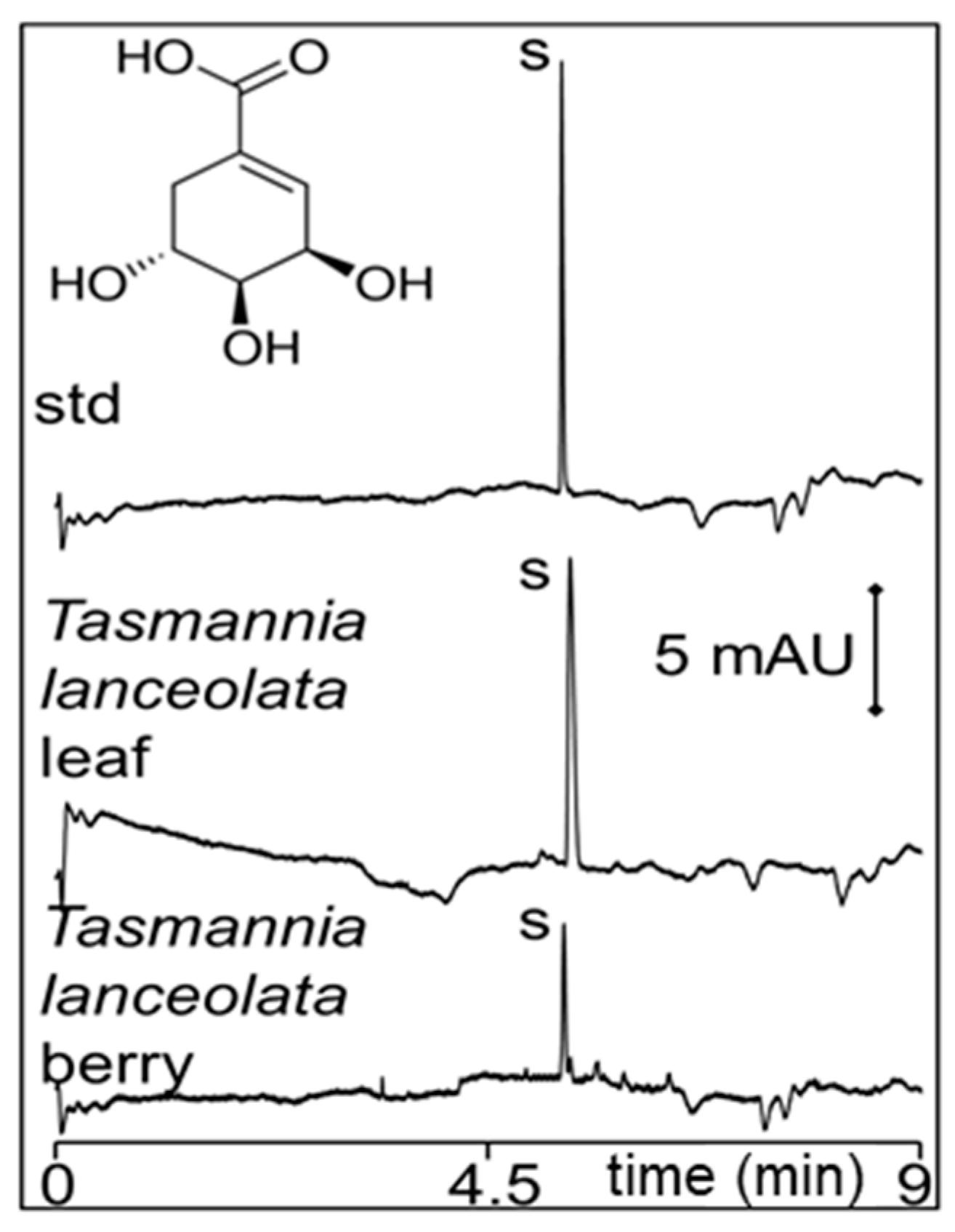 Molecules 24 02349 g006