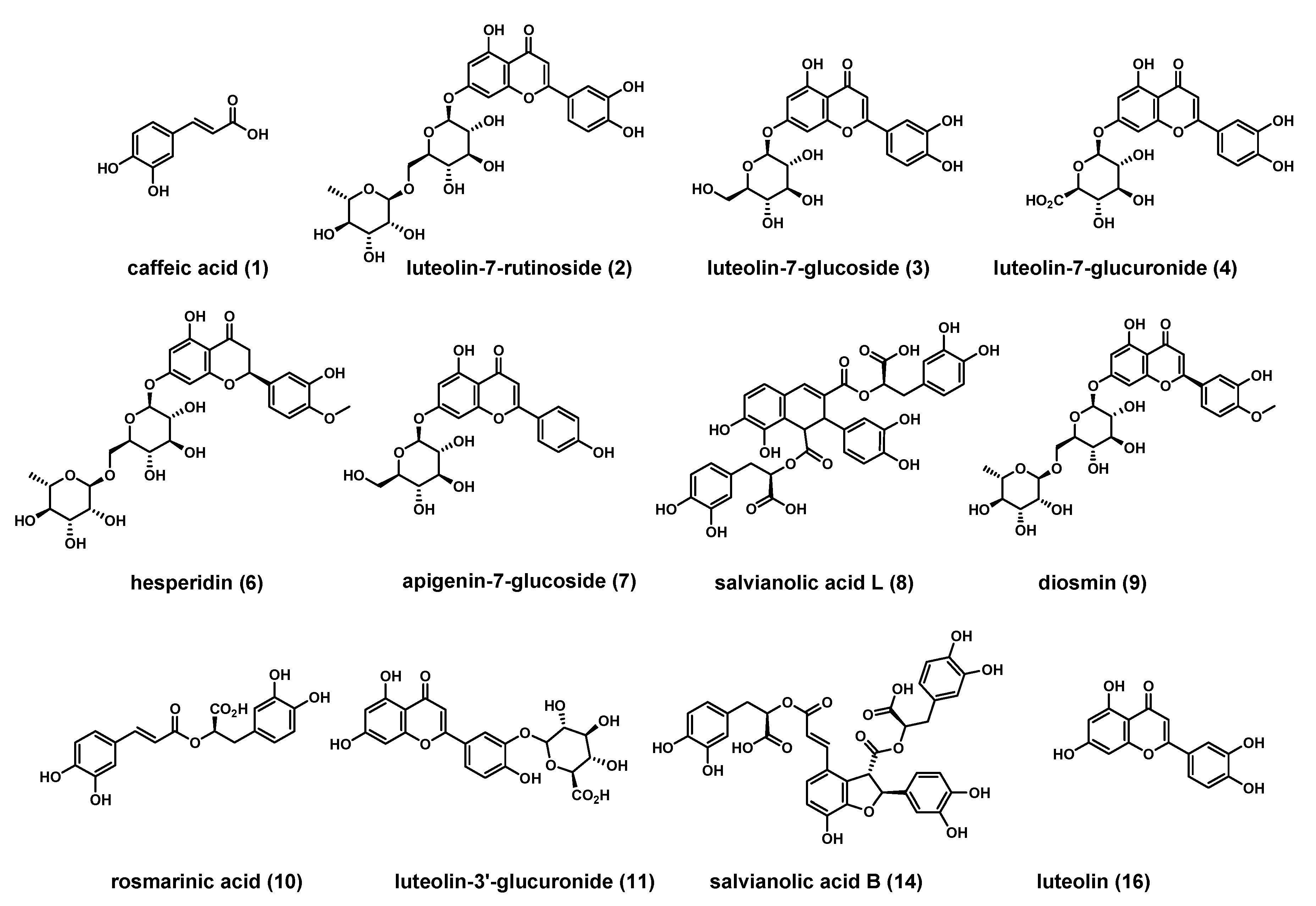 Molecules 24 02351 g006