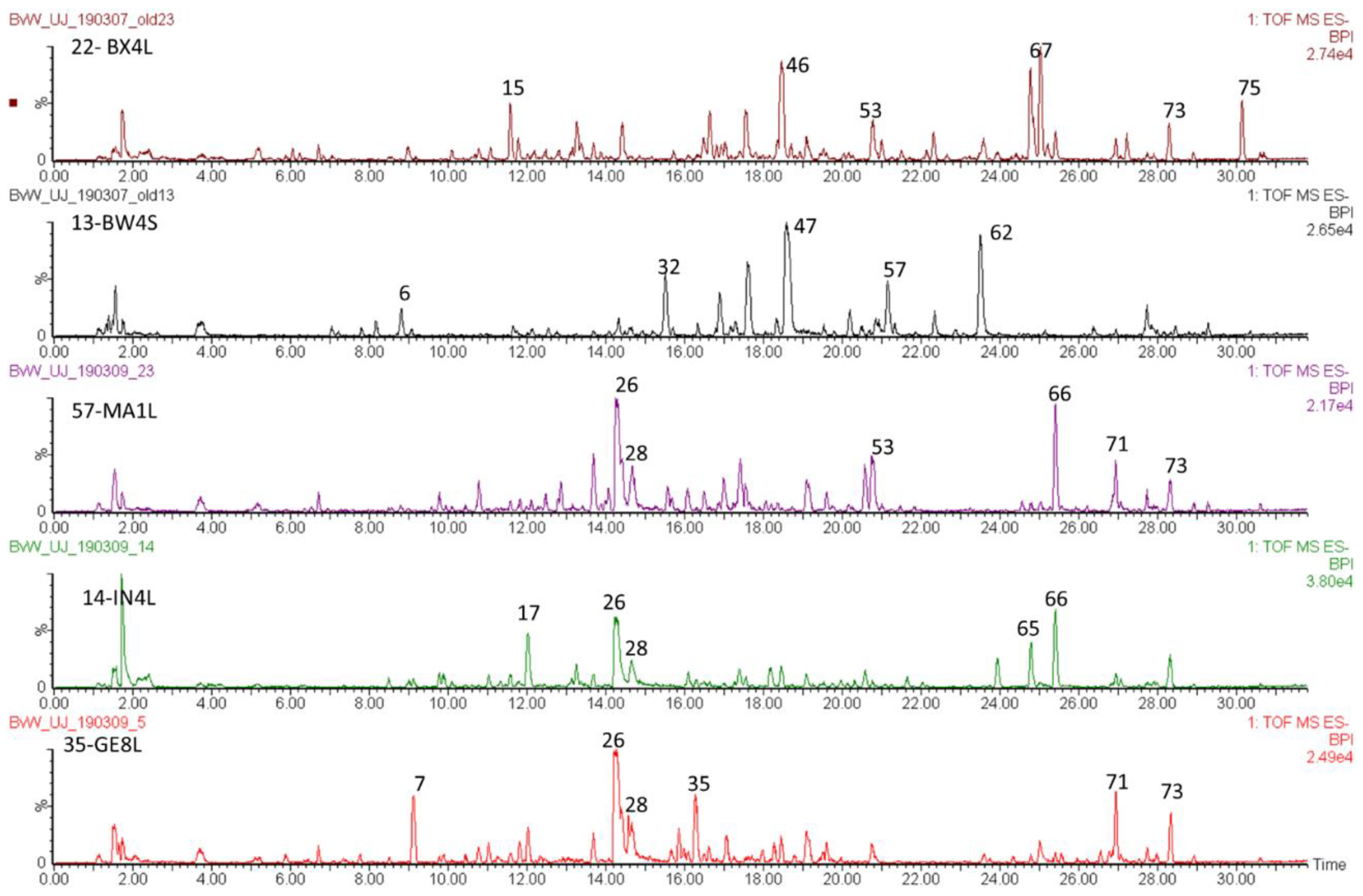 Molecules 24 02352 g001