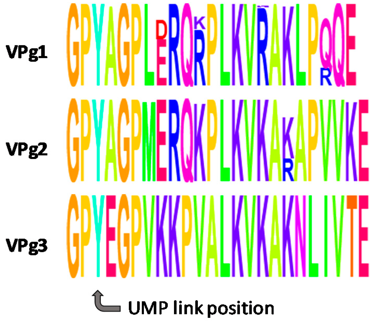 Molecules 24 02360 g001