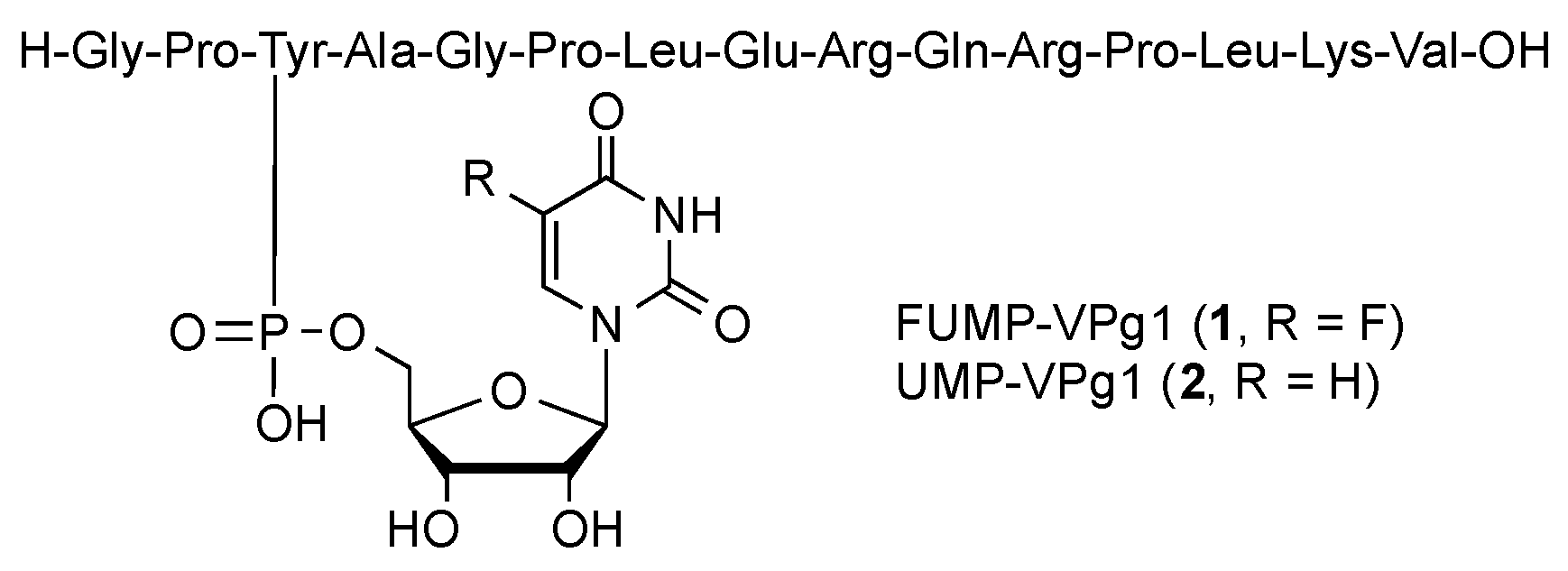Molecules 24 02360 g002