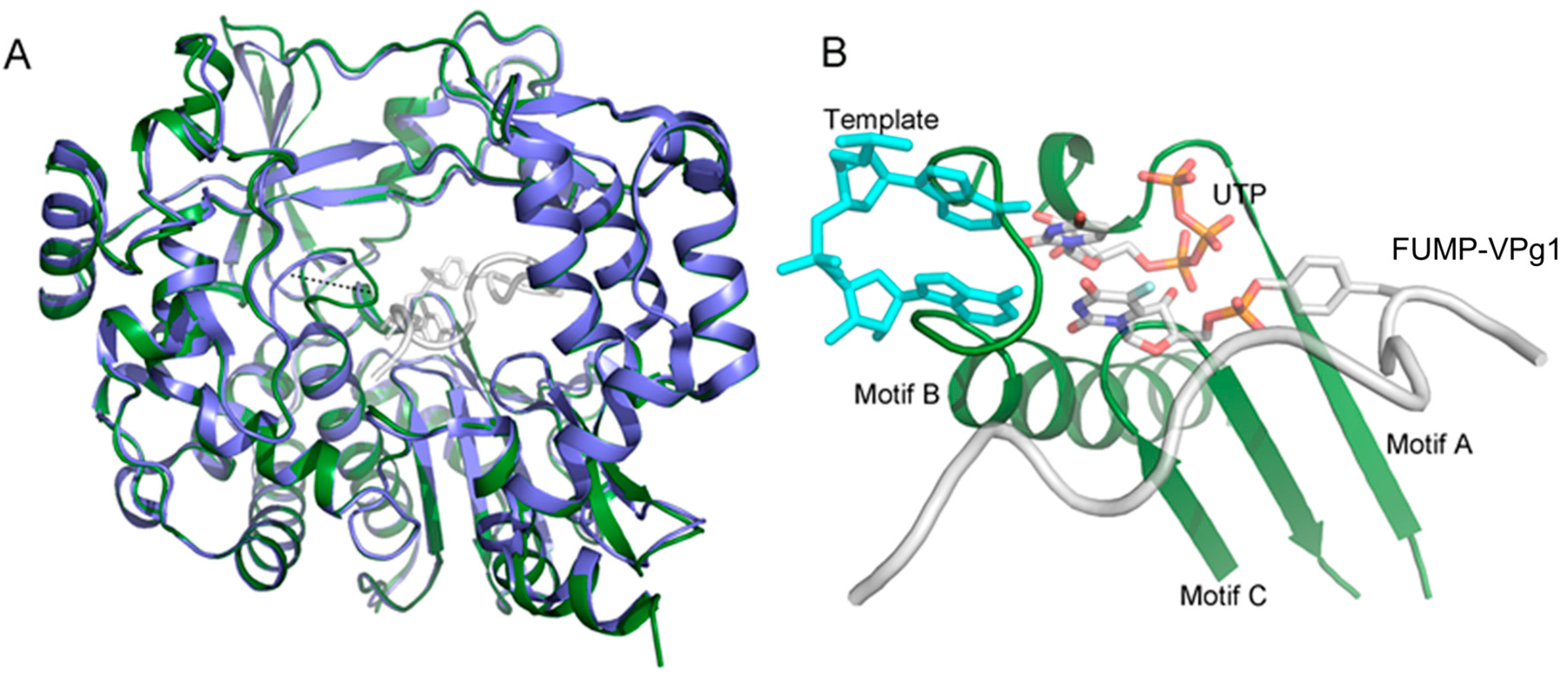 Molecules 24 02360 g003