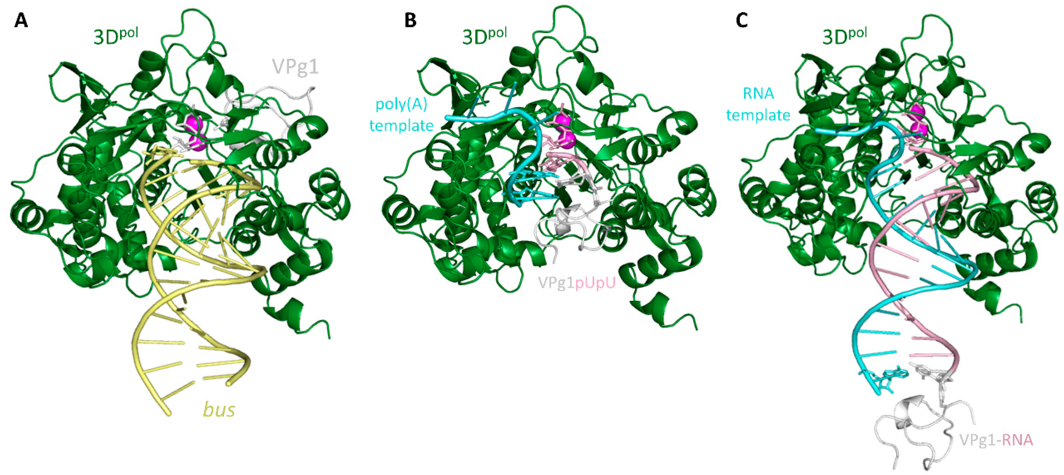 Molecules 24 02360 g004