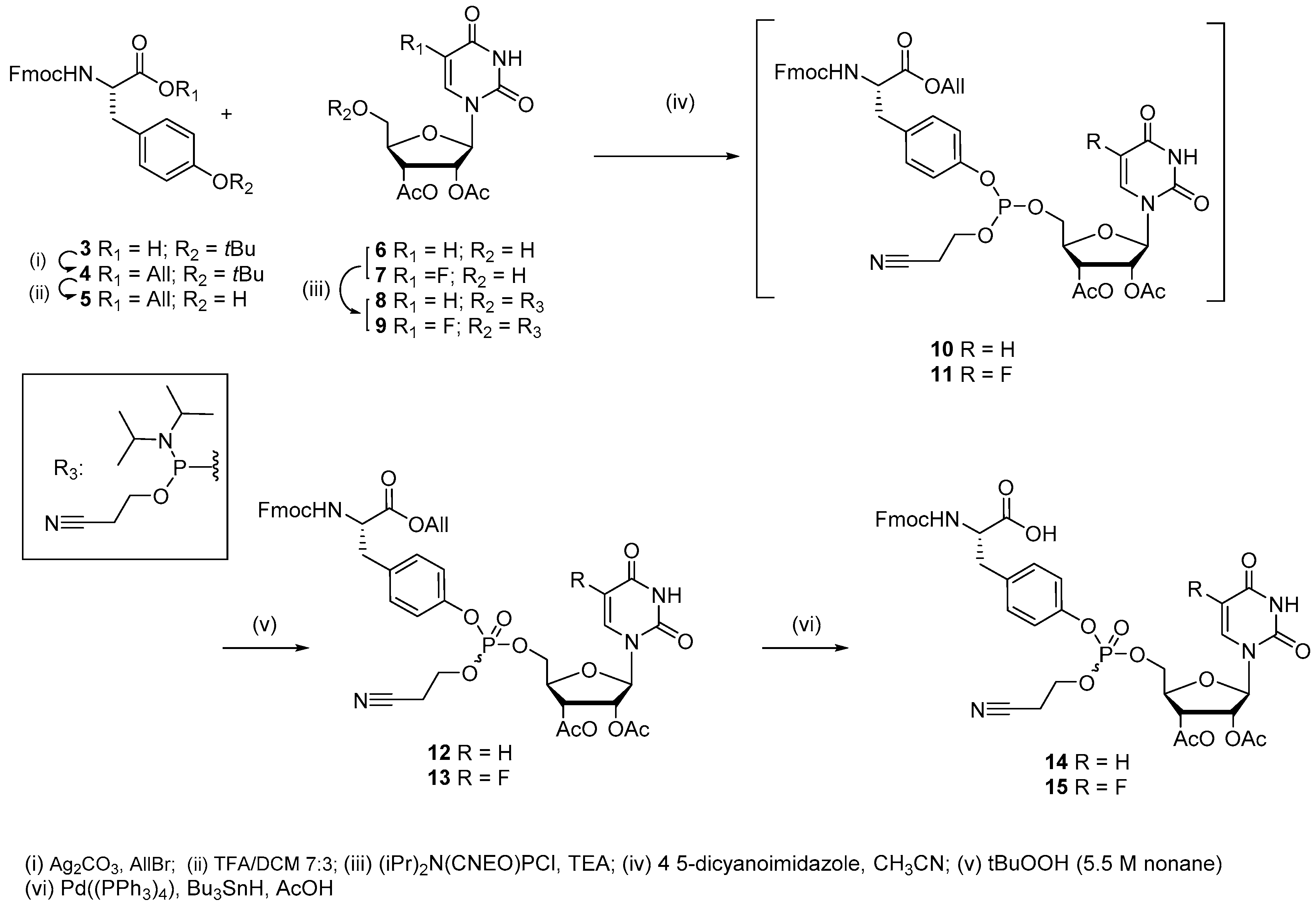 Molecules 24 02360 sch001
