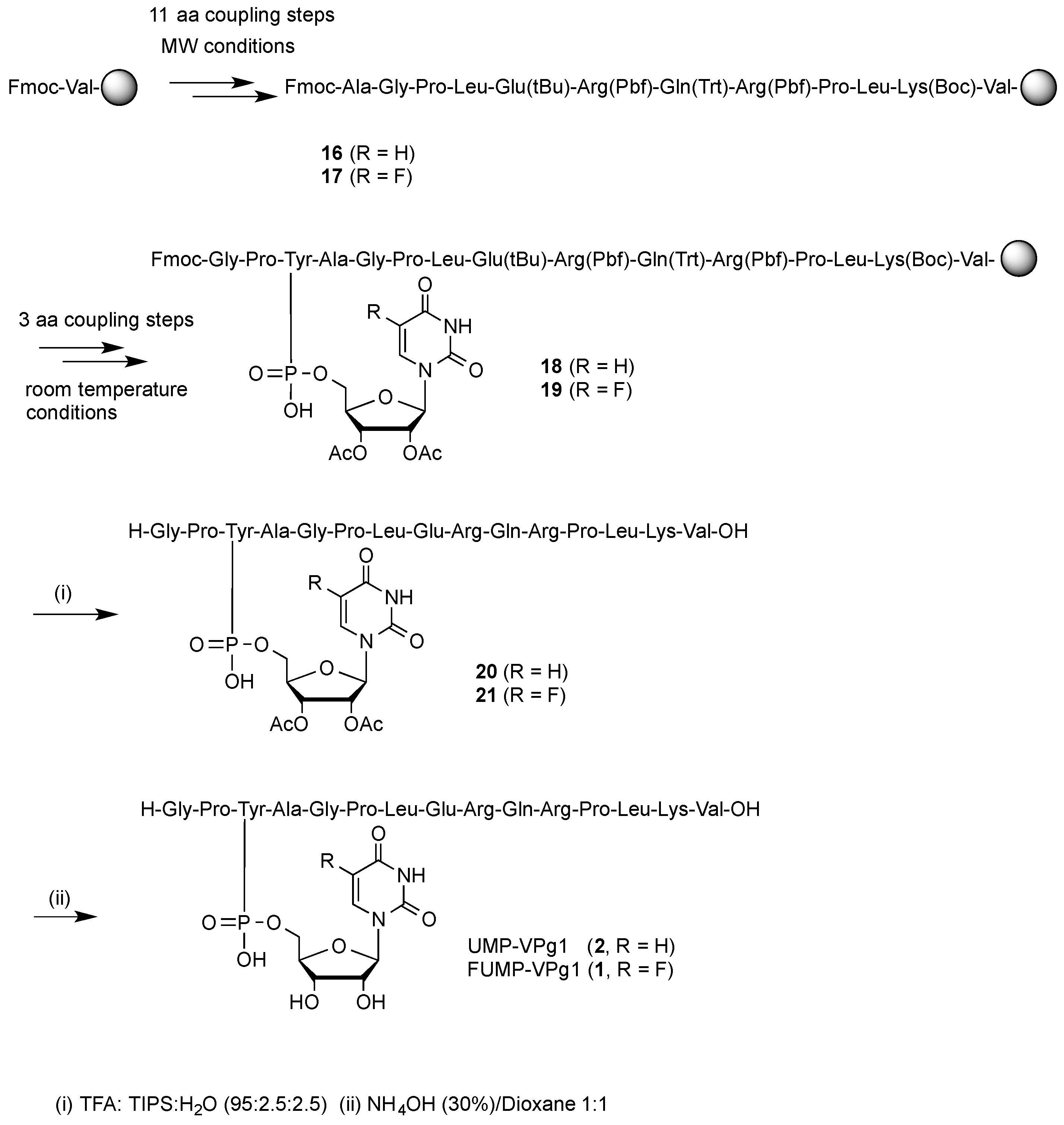 Molecules 24 02360 sch002