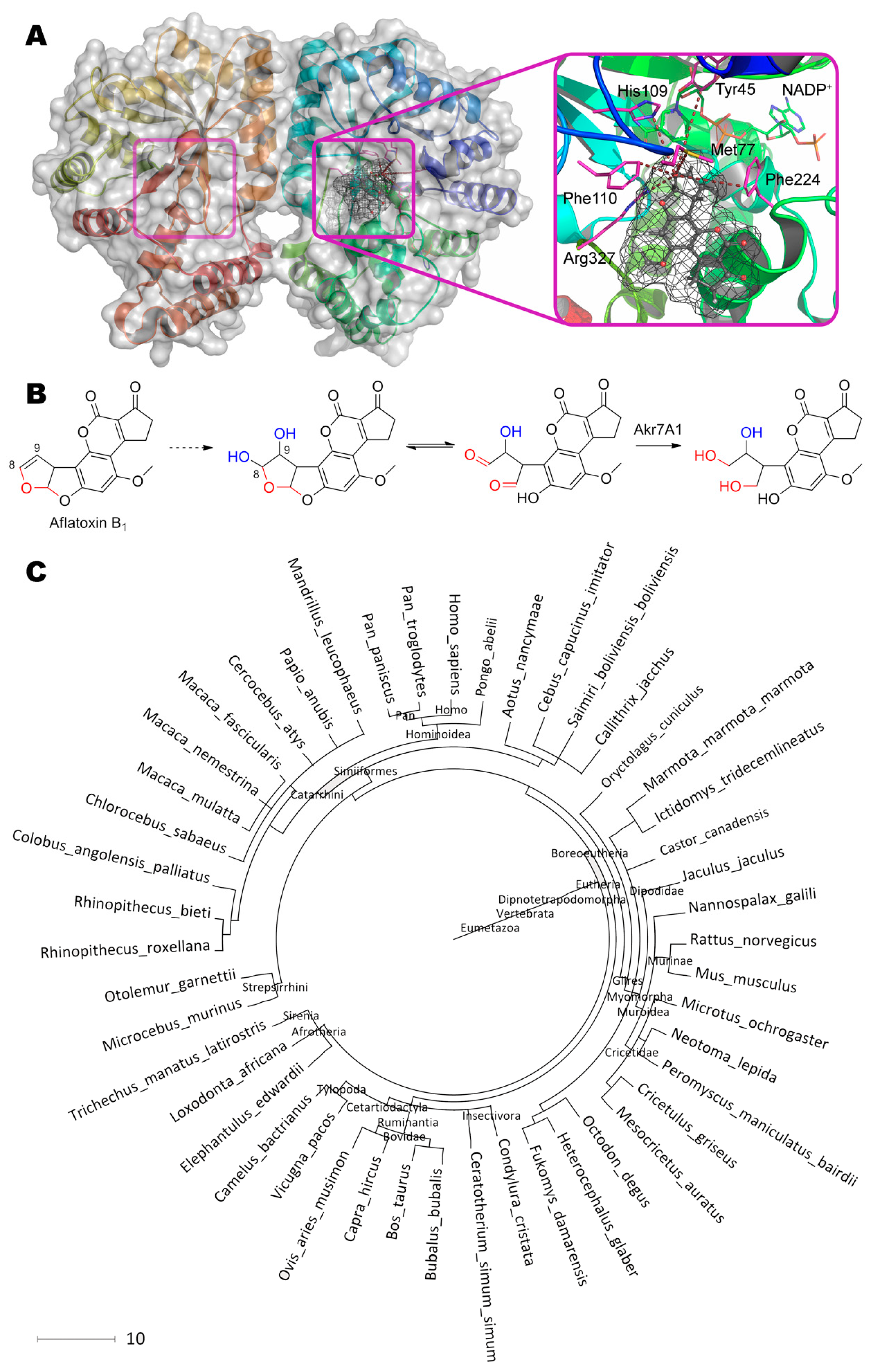Molecules 24 02362 g002