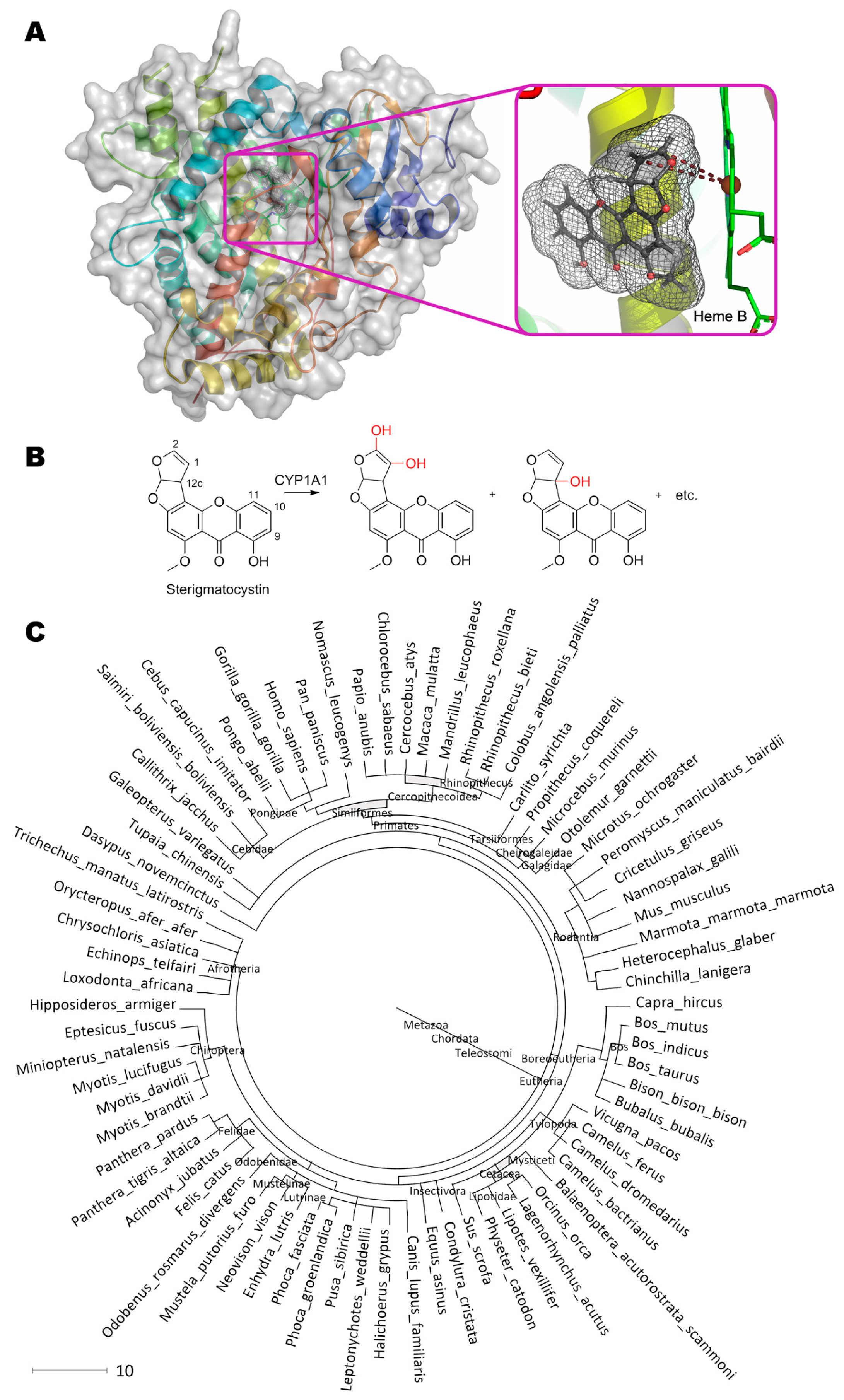 Molecules 24 02362 g003