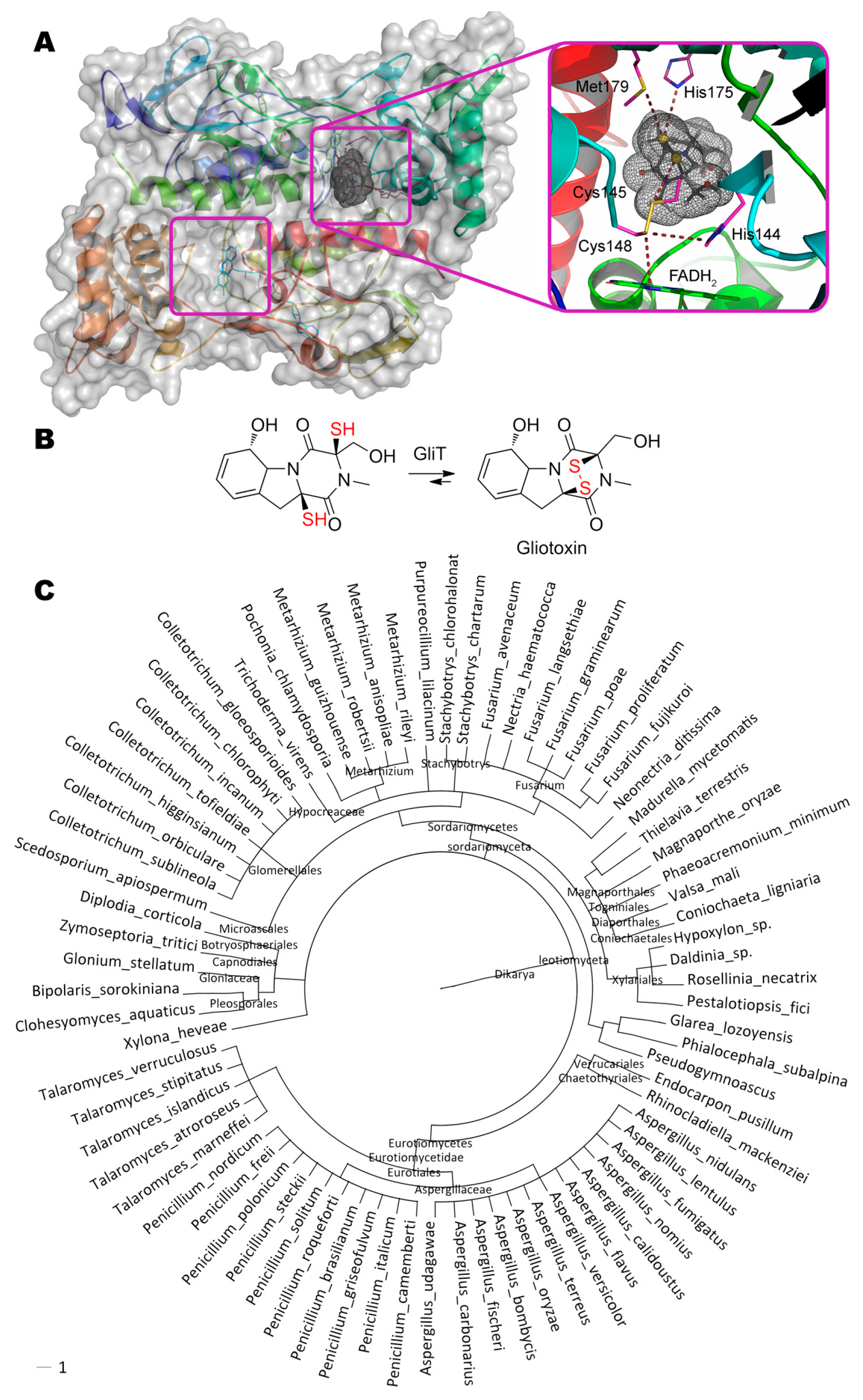 Molecules 24 02362 g004
