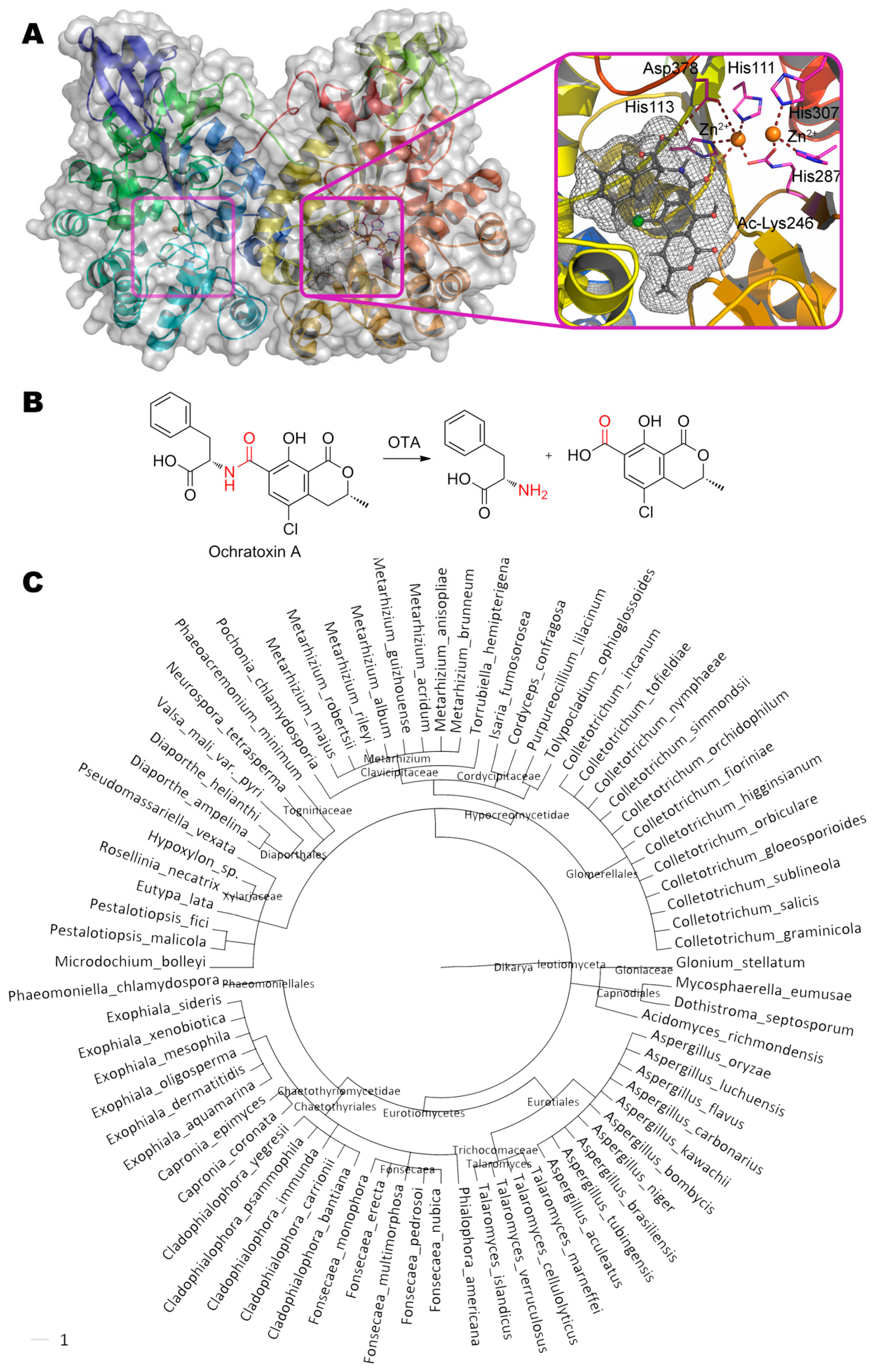 Molecules 24 02362 g006