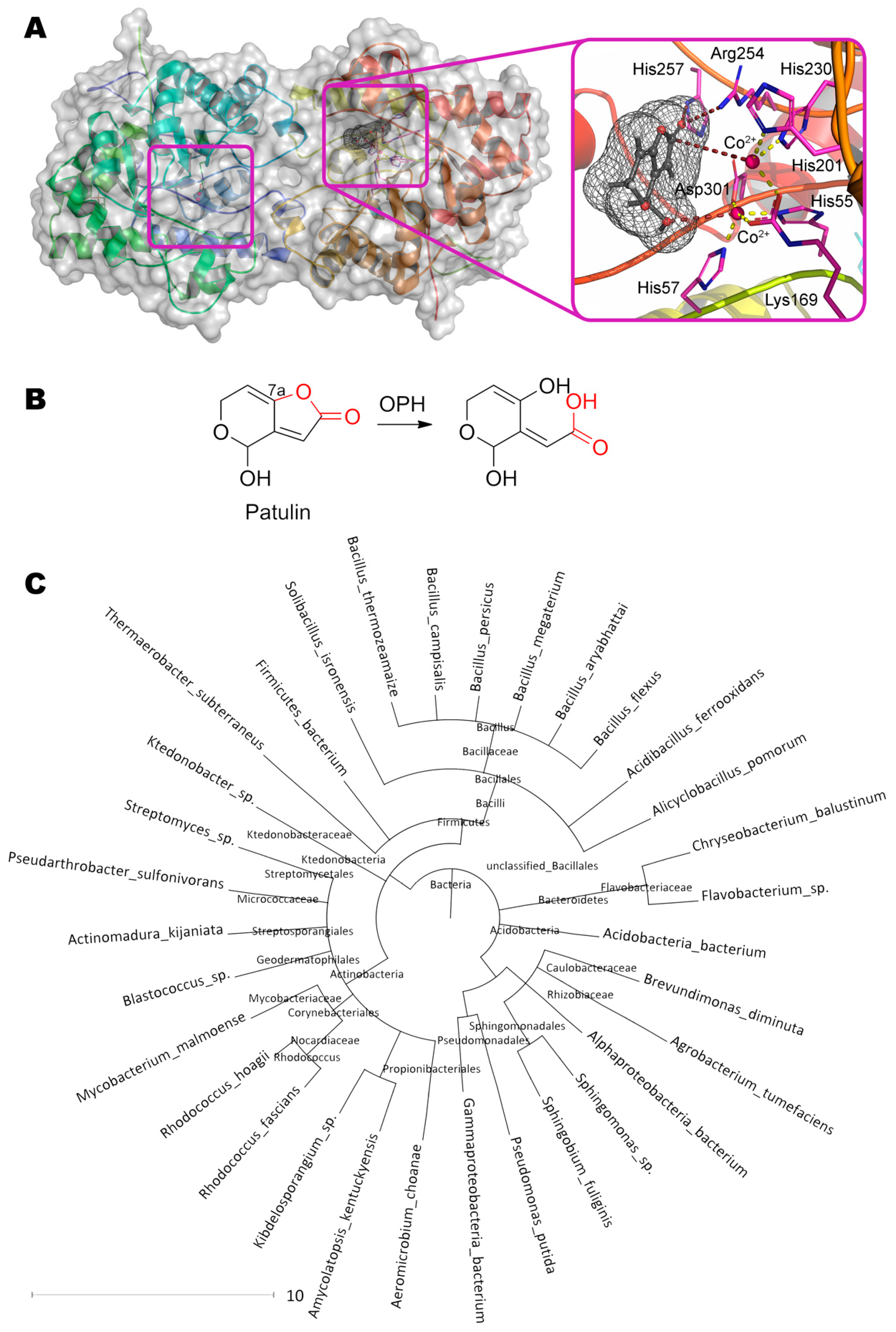 Molecules 24 02362 g008