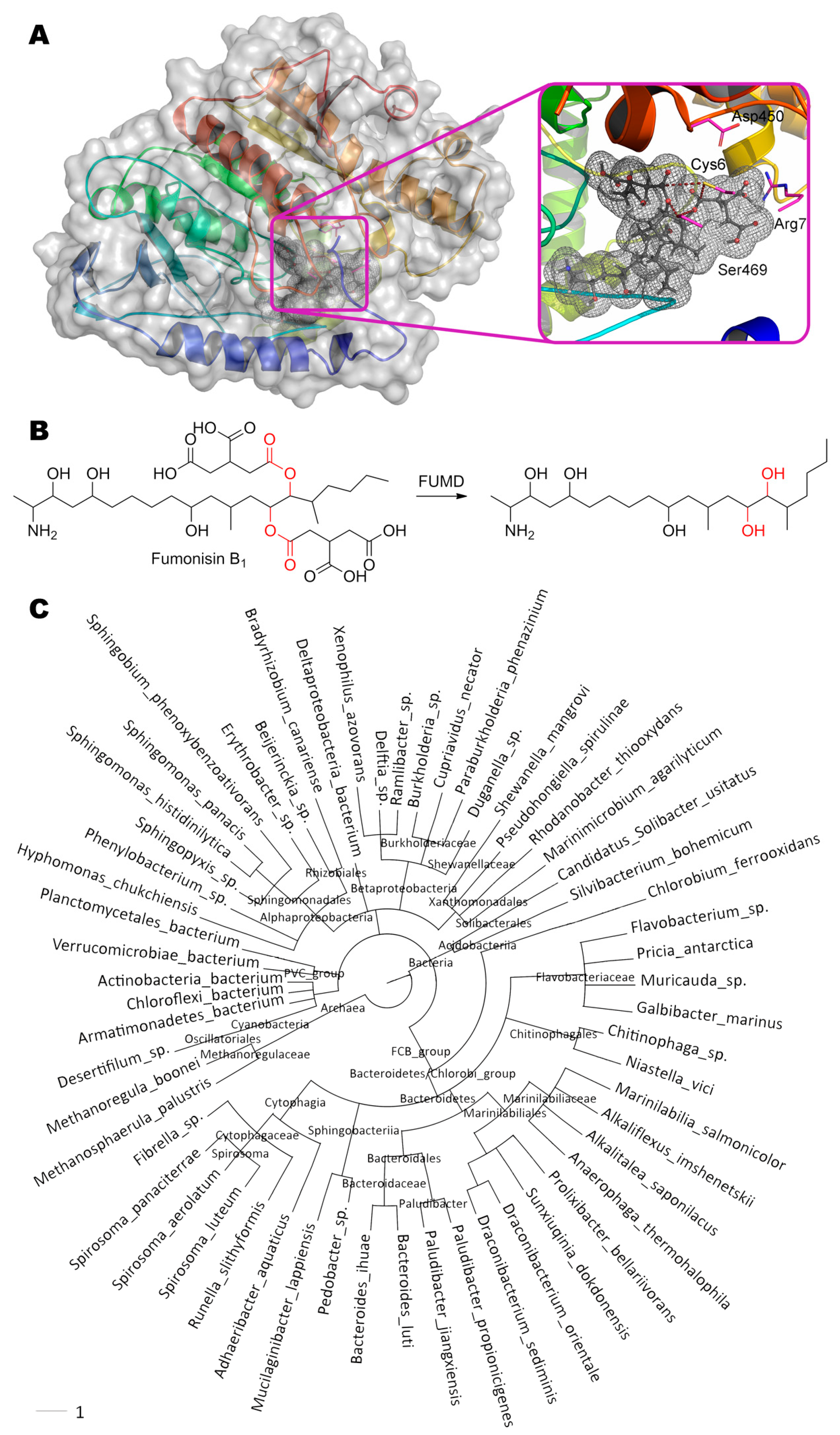 Molecules 24 02362 g009