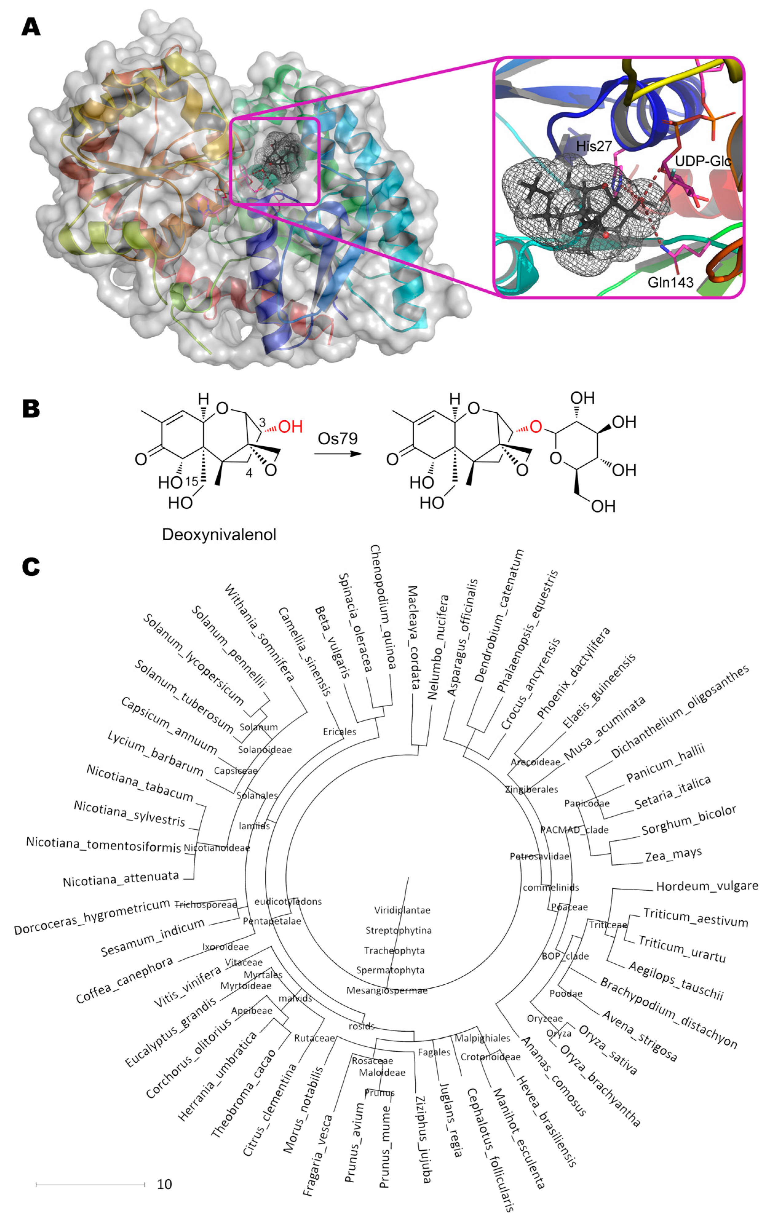 Molecules 24 02362 g011