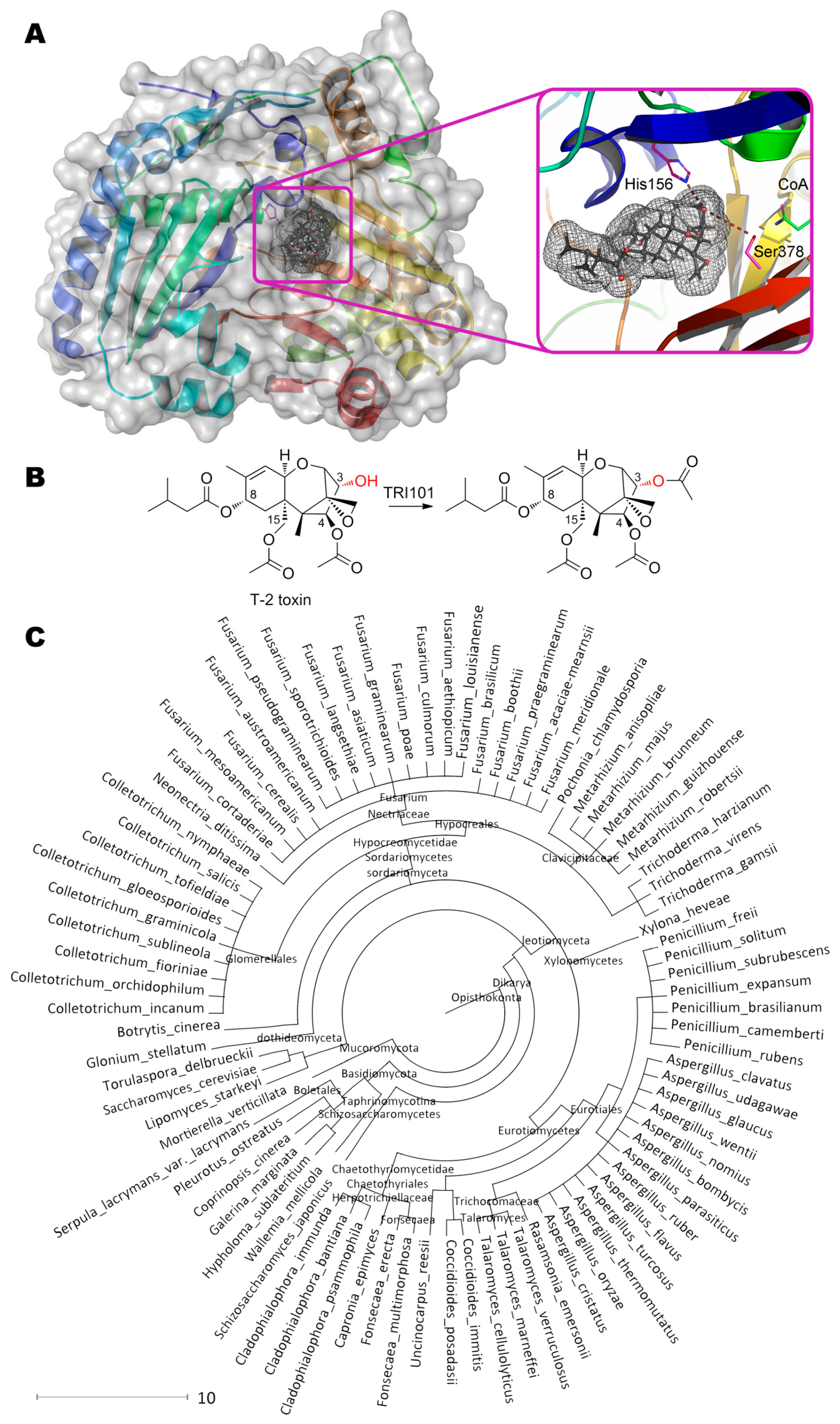 Molecules 24 02362 g012