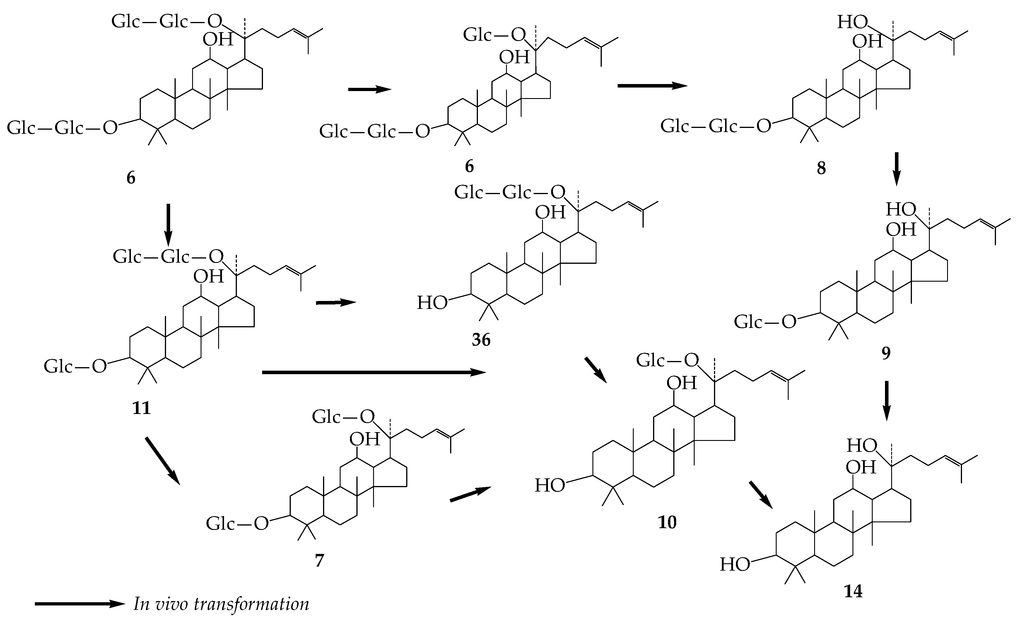 Molecules 24 02365 g007 Molecules 24 02365 g007