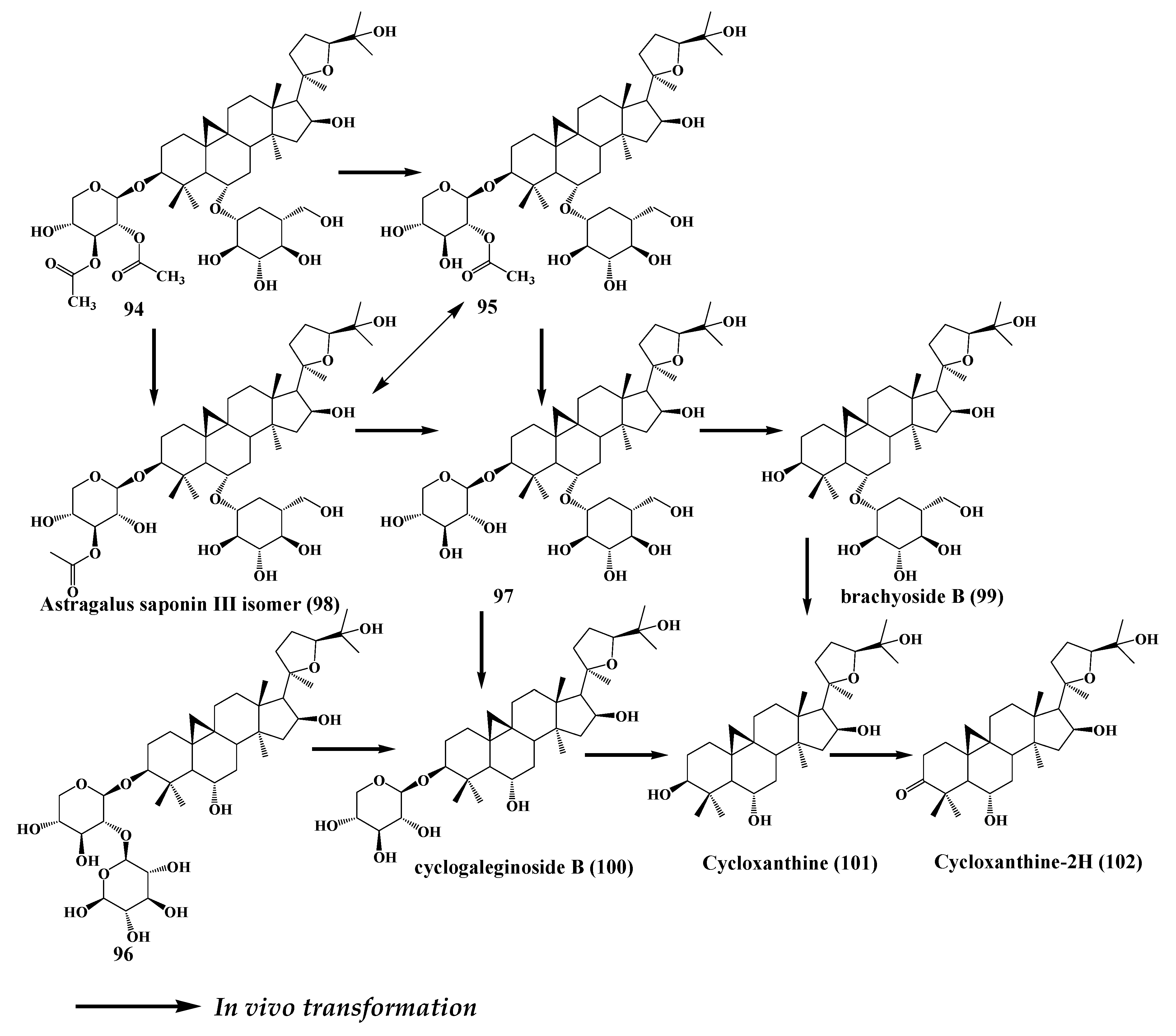 Molecules 24 02365 g017 Molecules 24 02365 g017