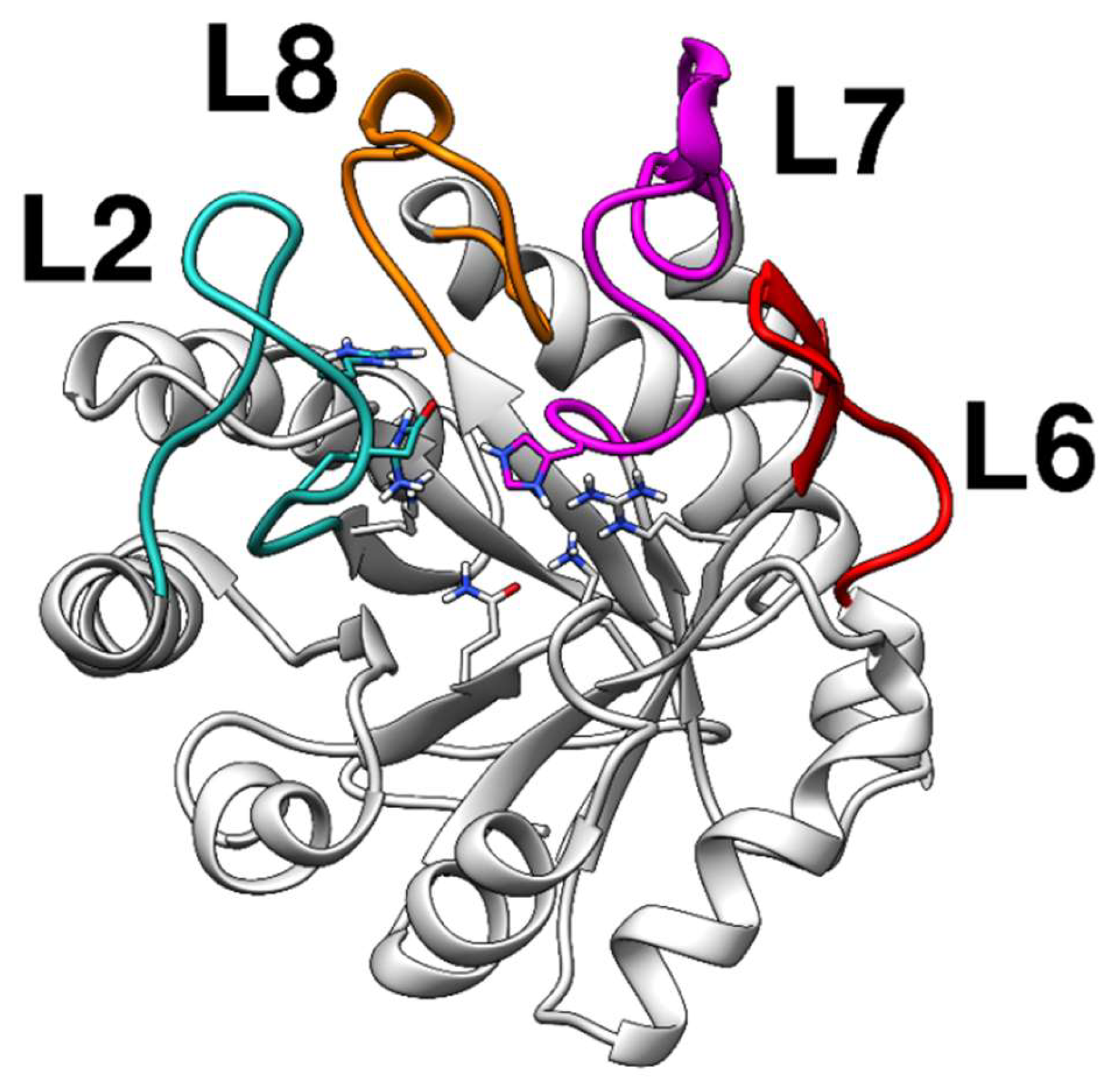 Molecules 24 02370 g001