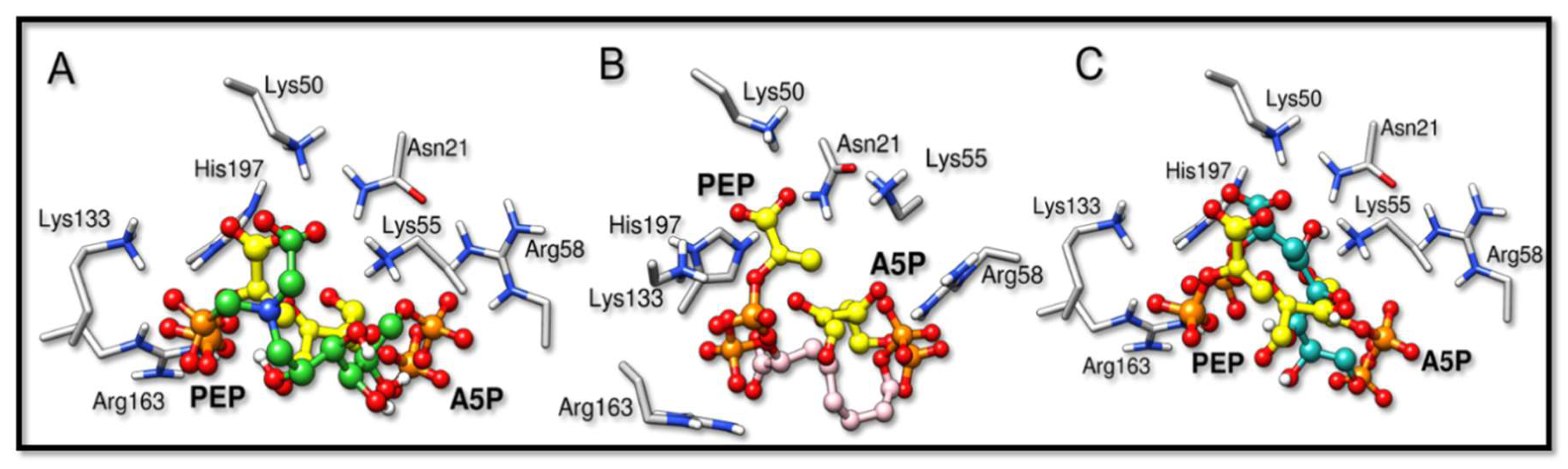 Molecules 24 02370 g002