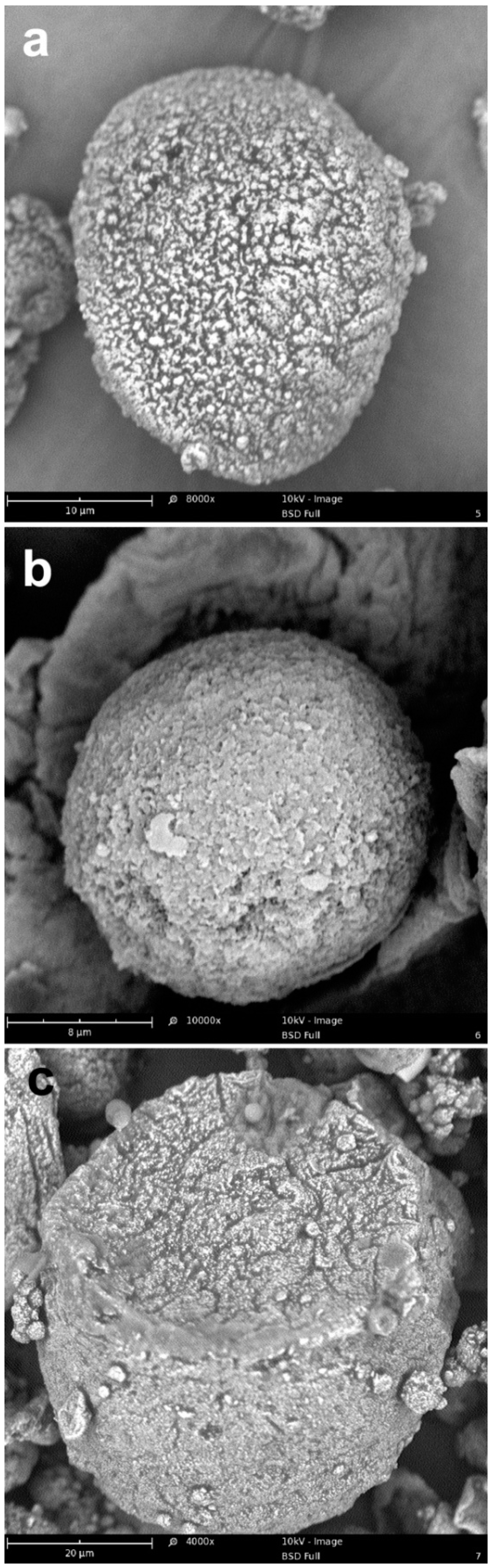 Molecules 24 02371 g006
