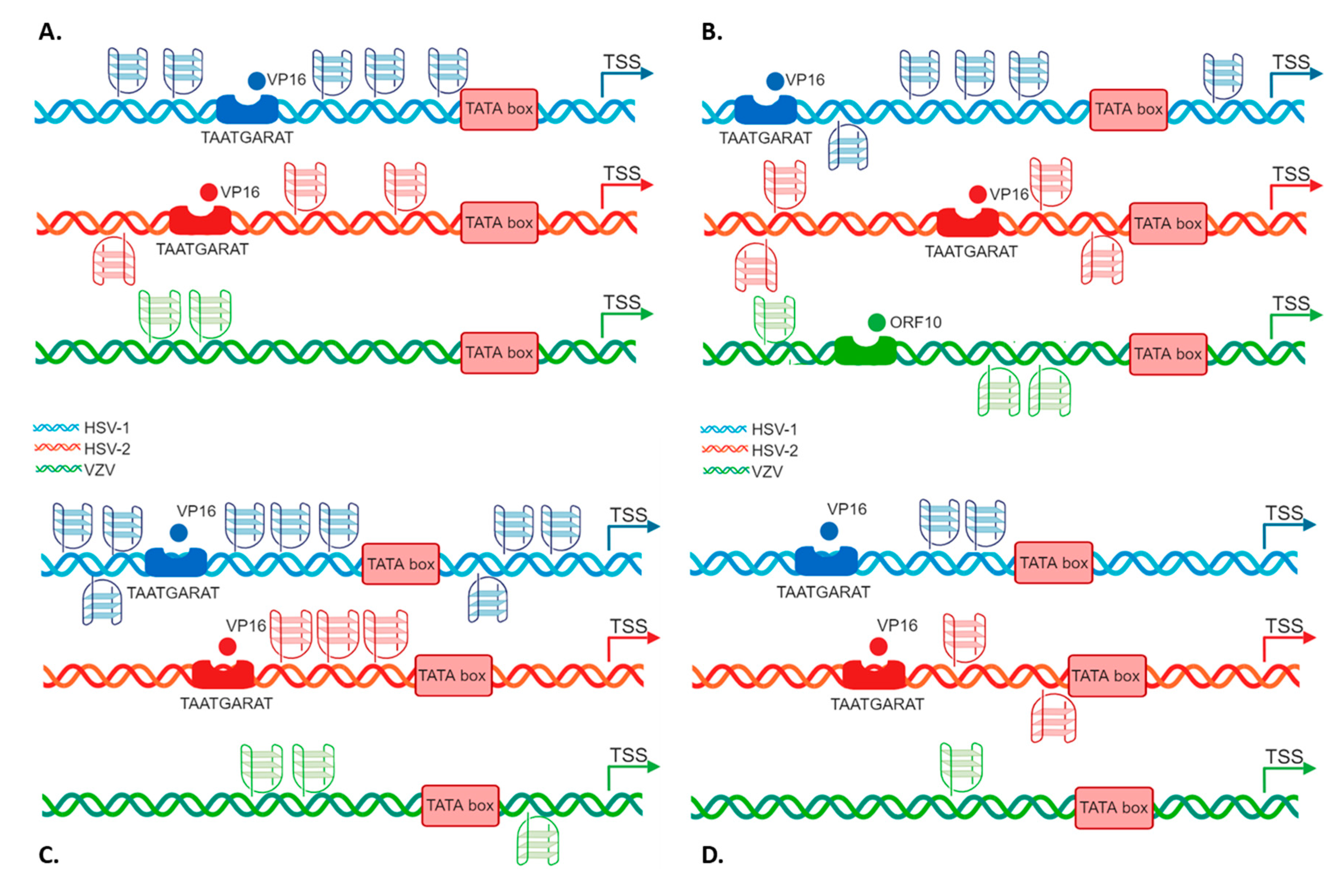 Molecules 24 02375 g001