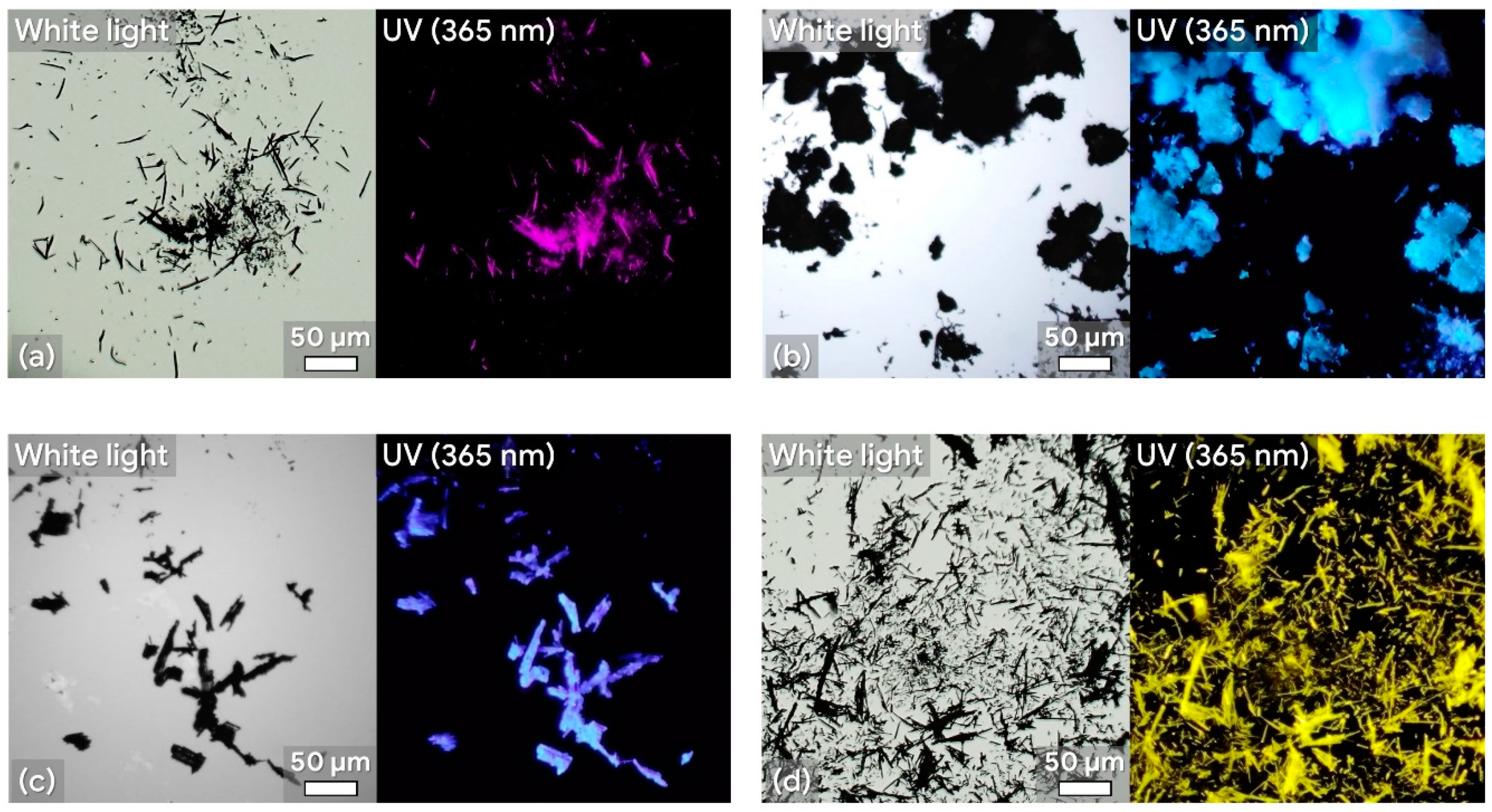 Molecules 24 02378 g008