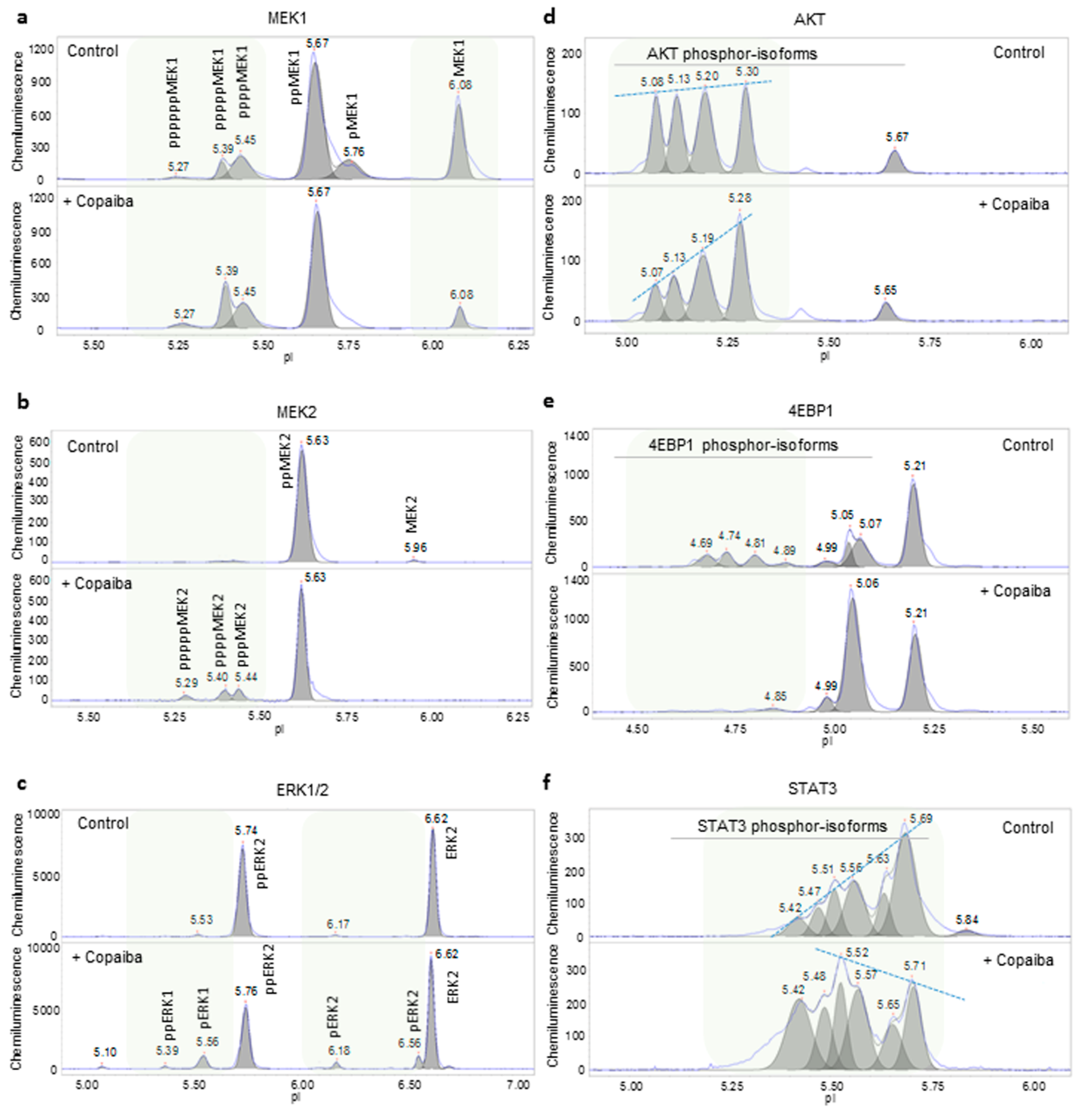 Molecules 24 02383 g002