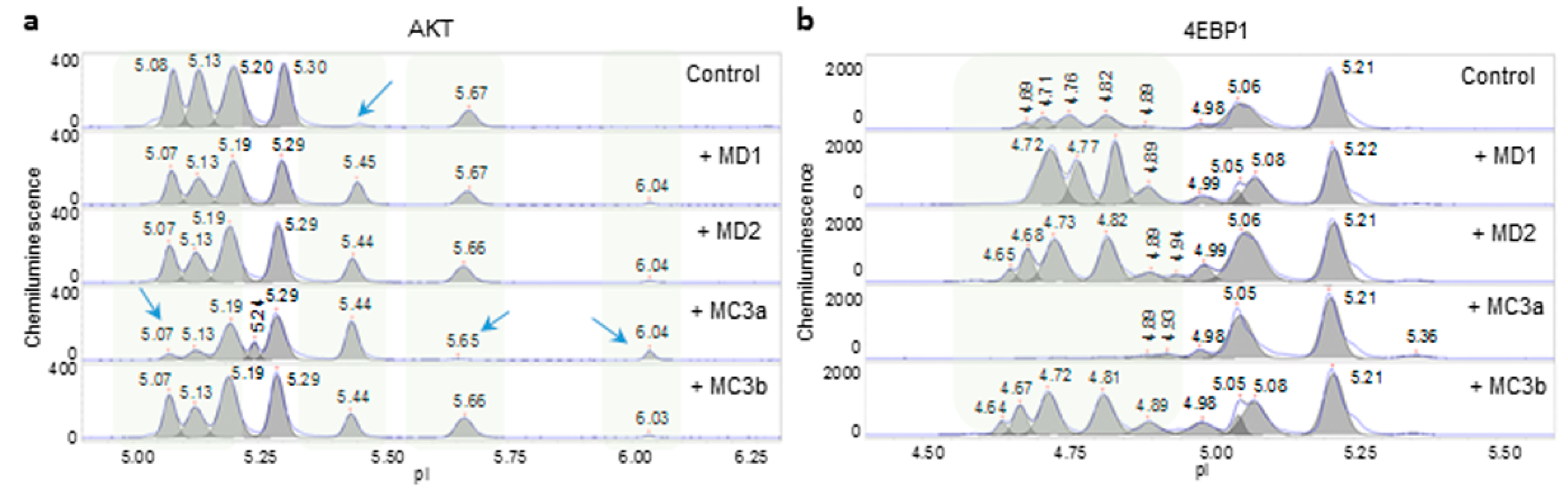 Molecules 24 02383 g004