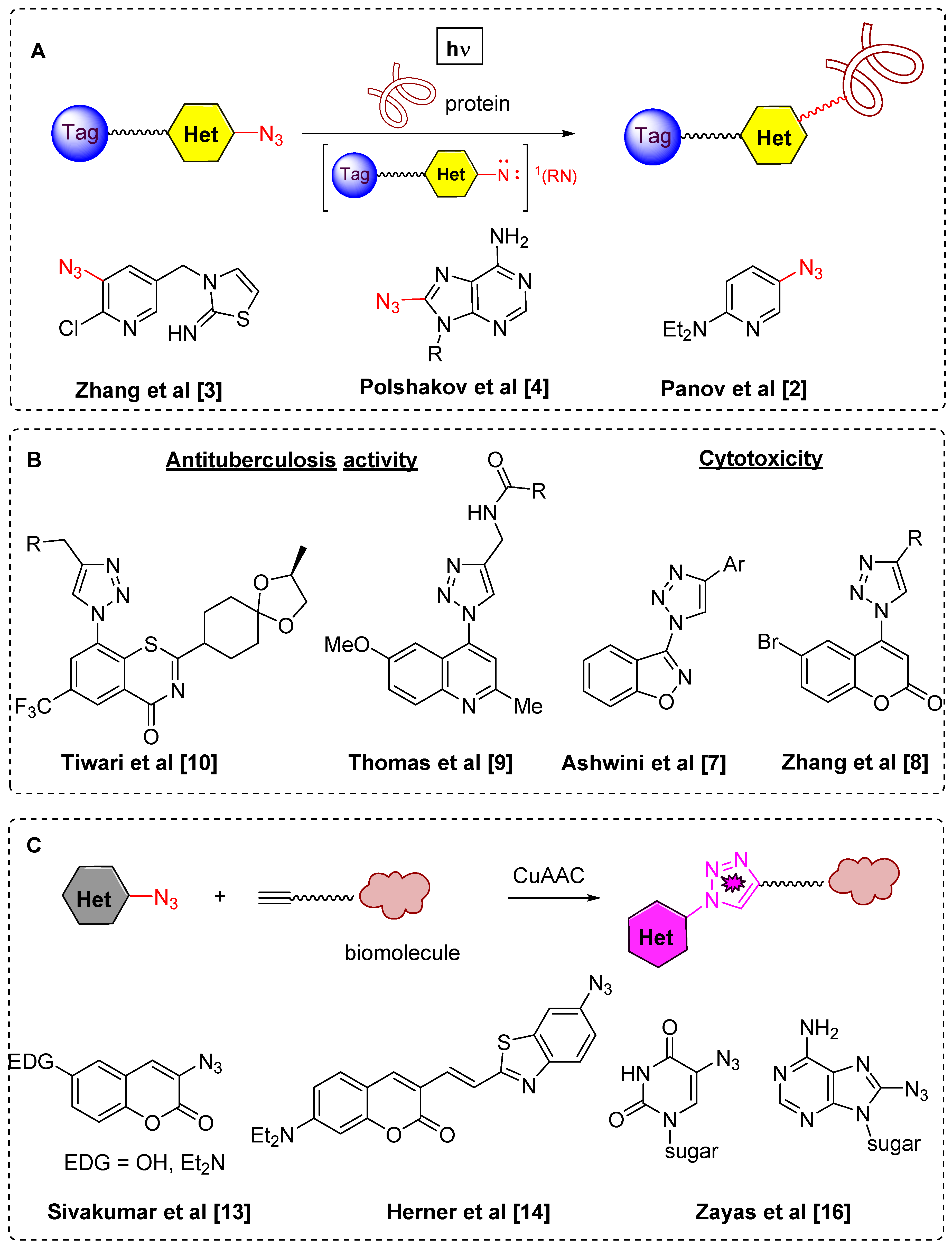 Molecules 24 02386 g001