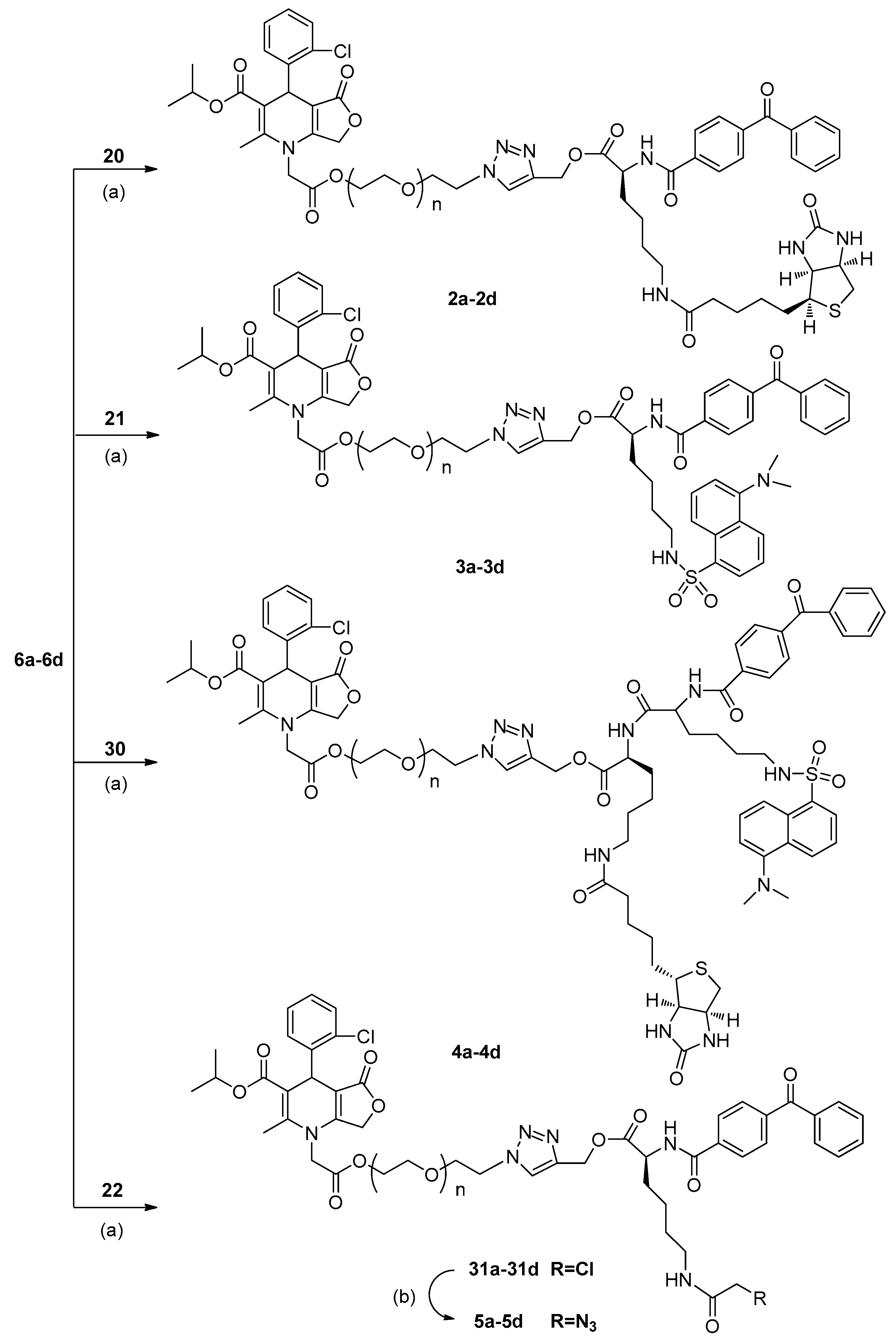 Molecules 24 02394 sch004