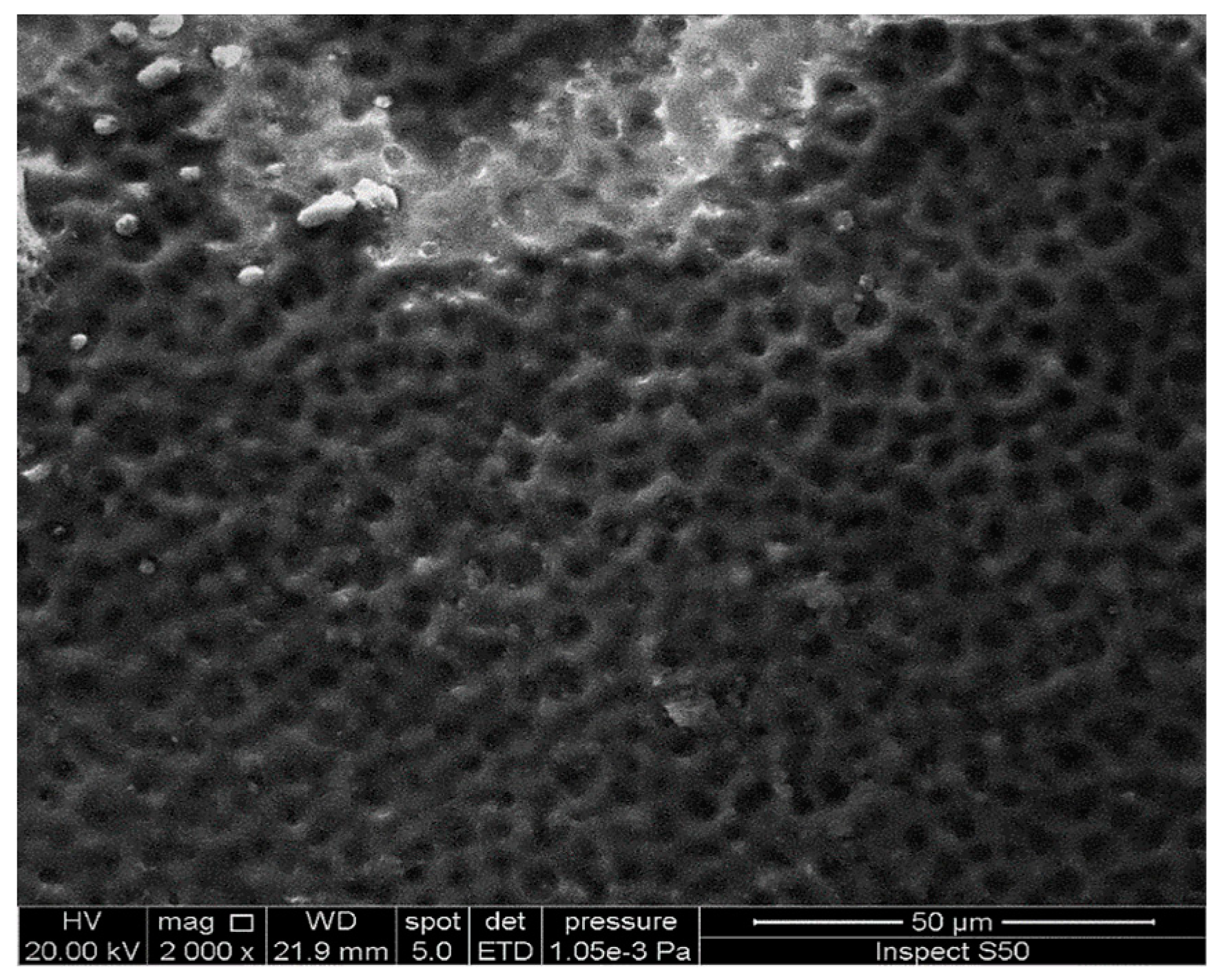 Molecules 24 02396 g013