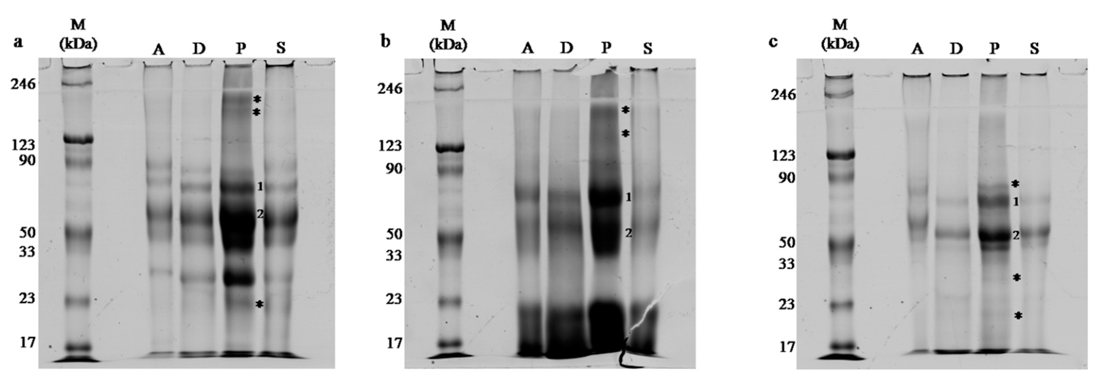 Molecules 24 02399 g003