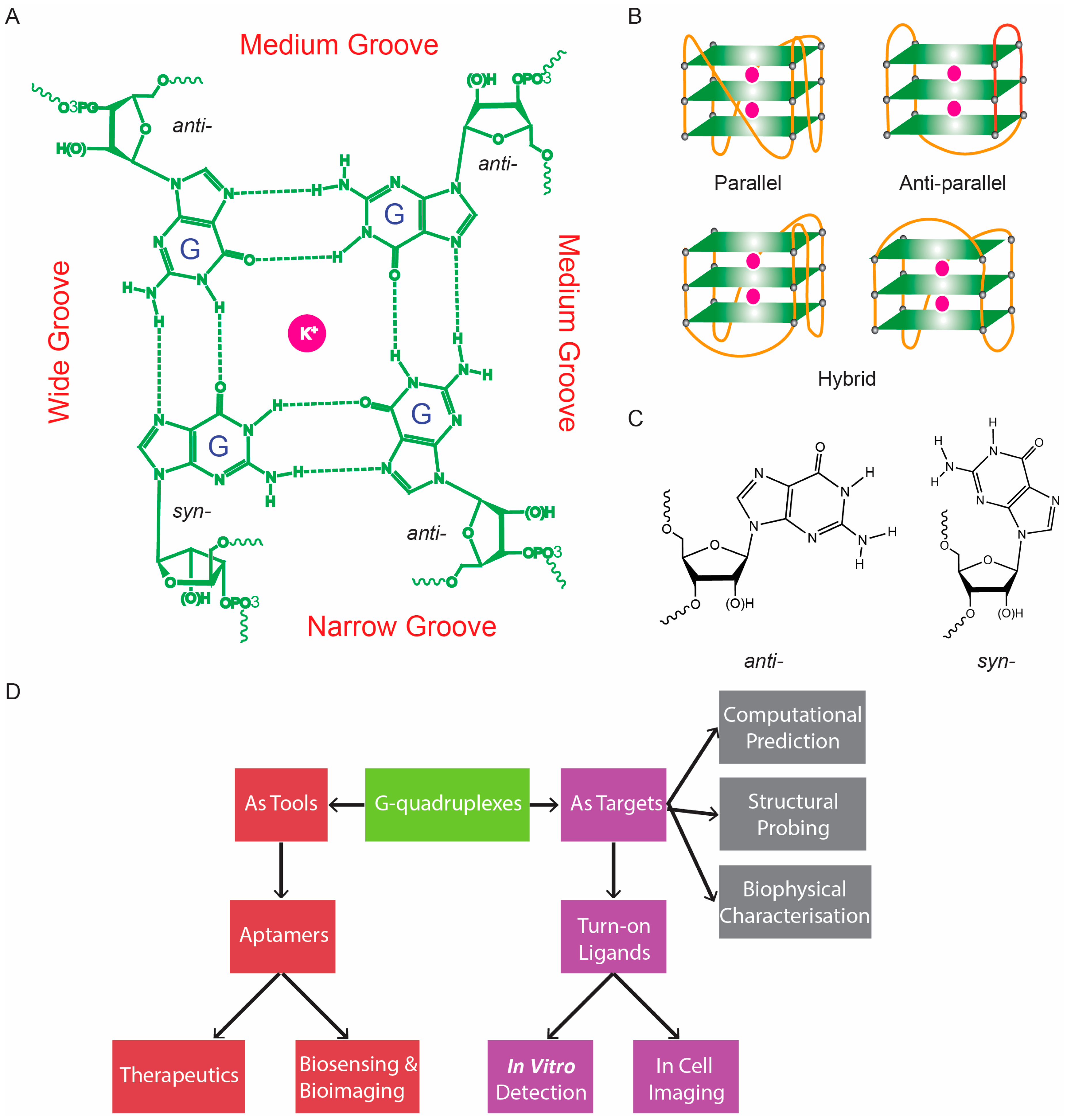 Molecules 24 02416 g001