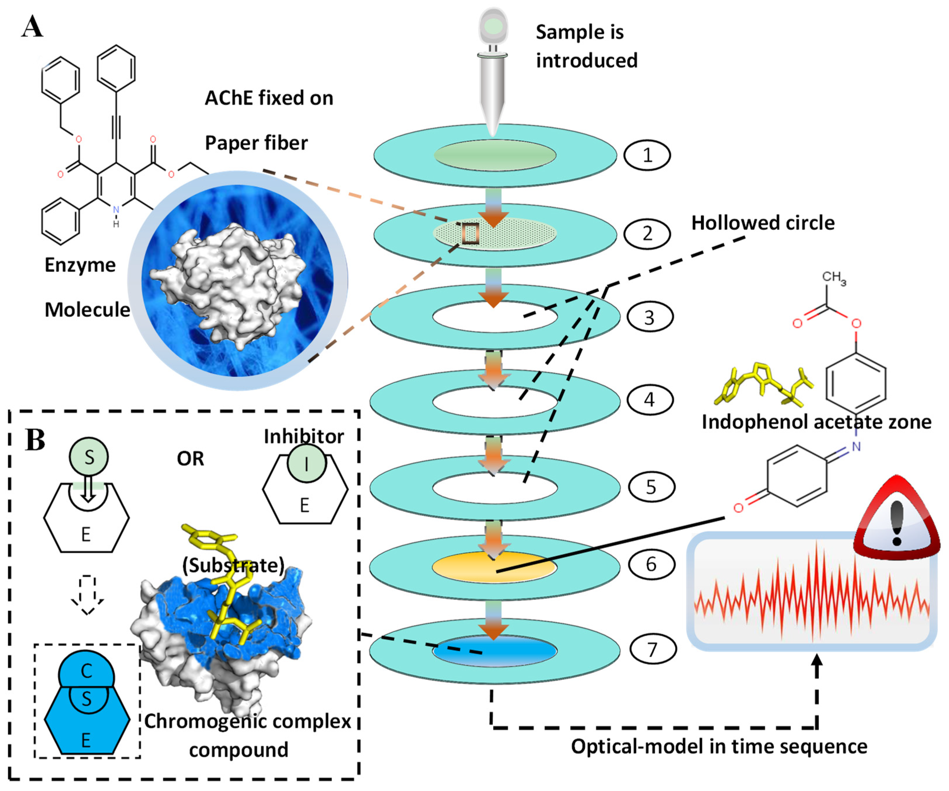 Molecules 24 02428 g006