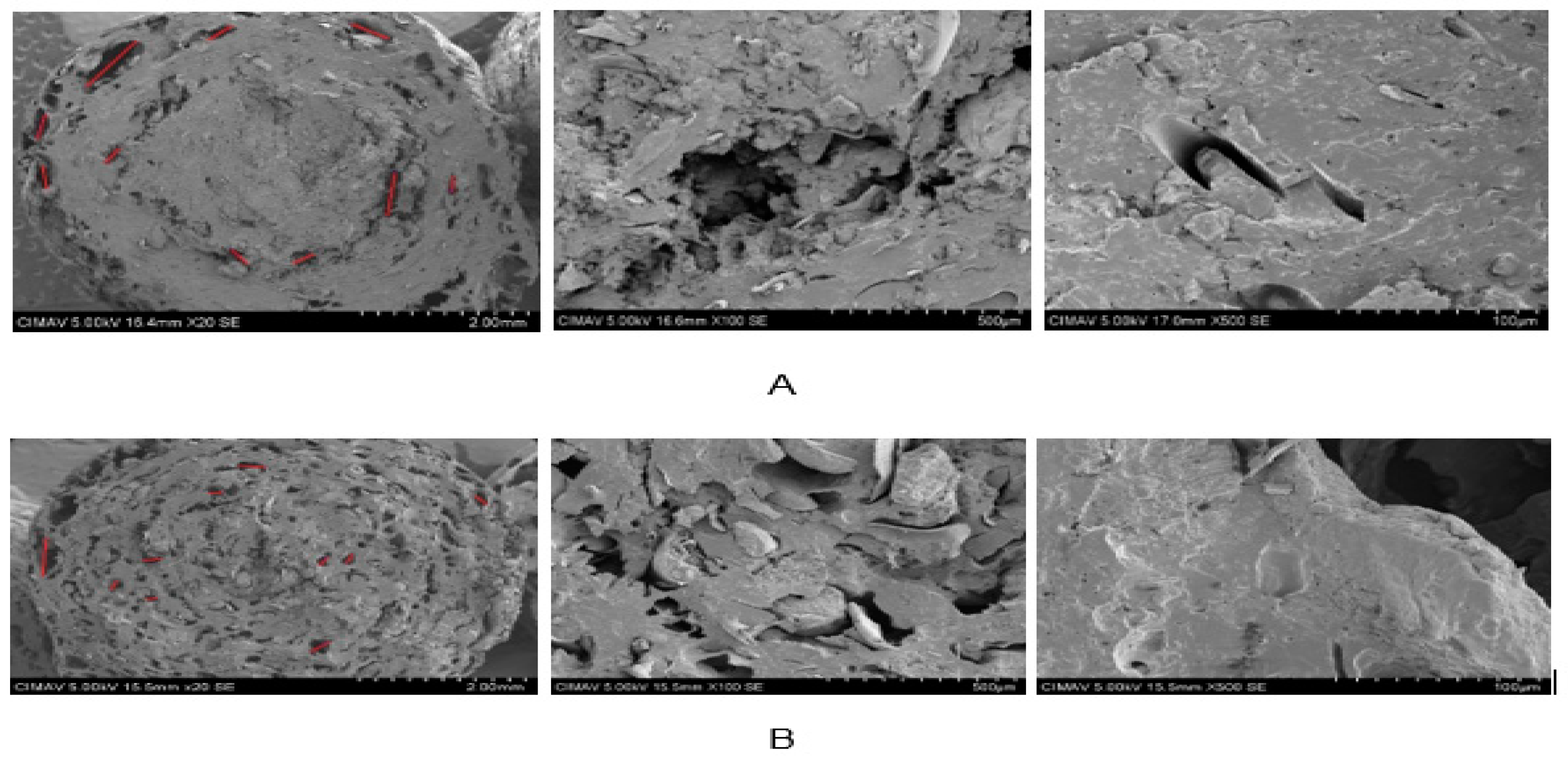 Molecules 24 02430 g011