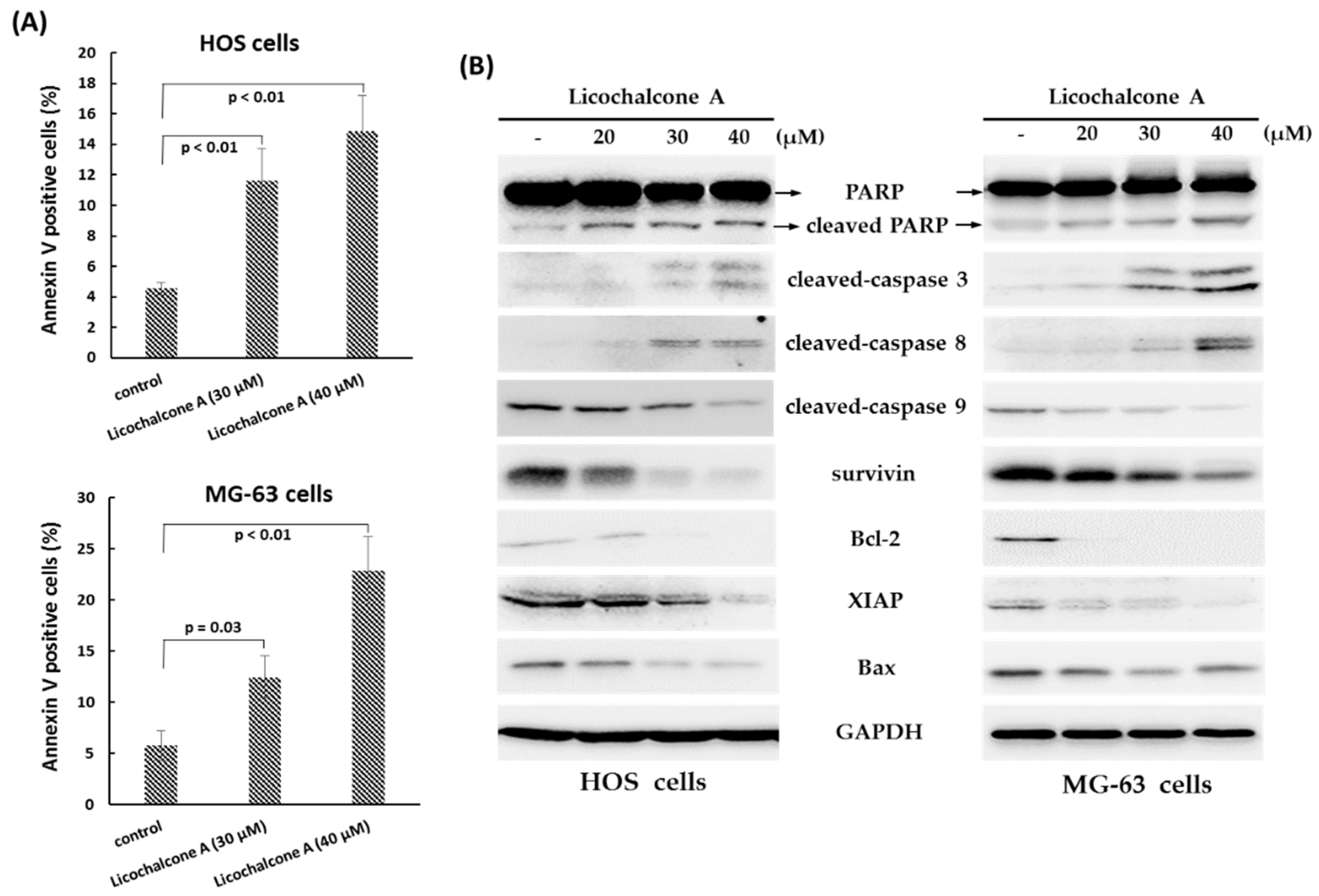 Molecules 24 02435 g002