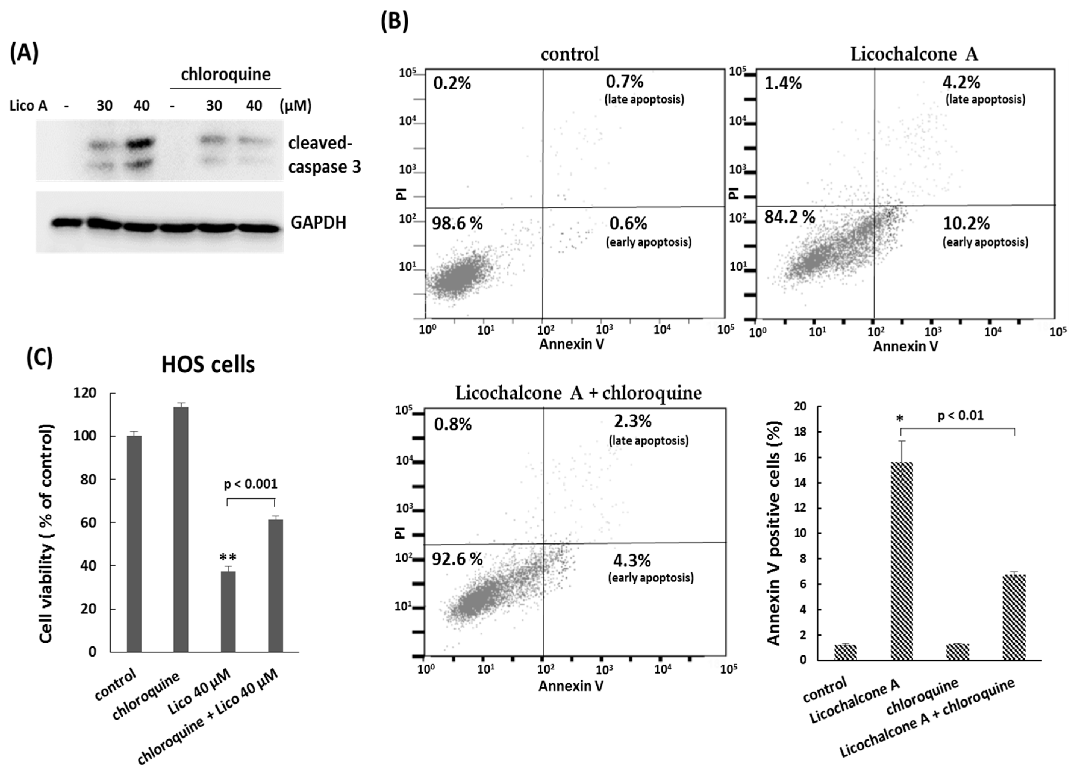 Molecules 24 02435 g006