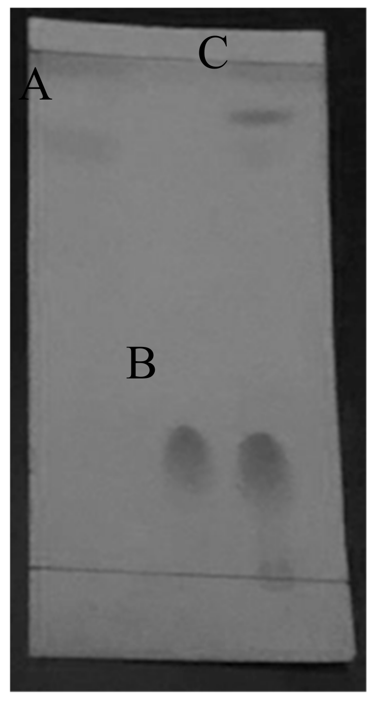 Molecules 24 02439 g003 Molecules 24 02439 g003