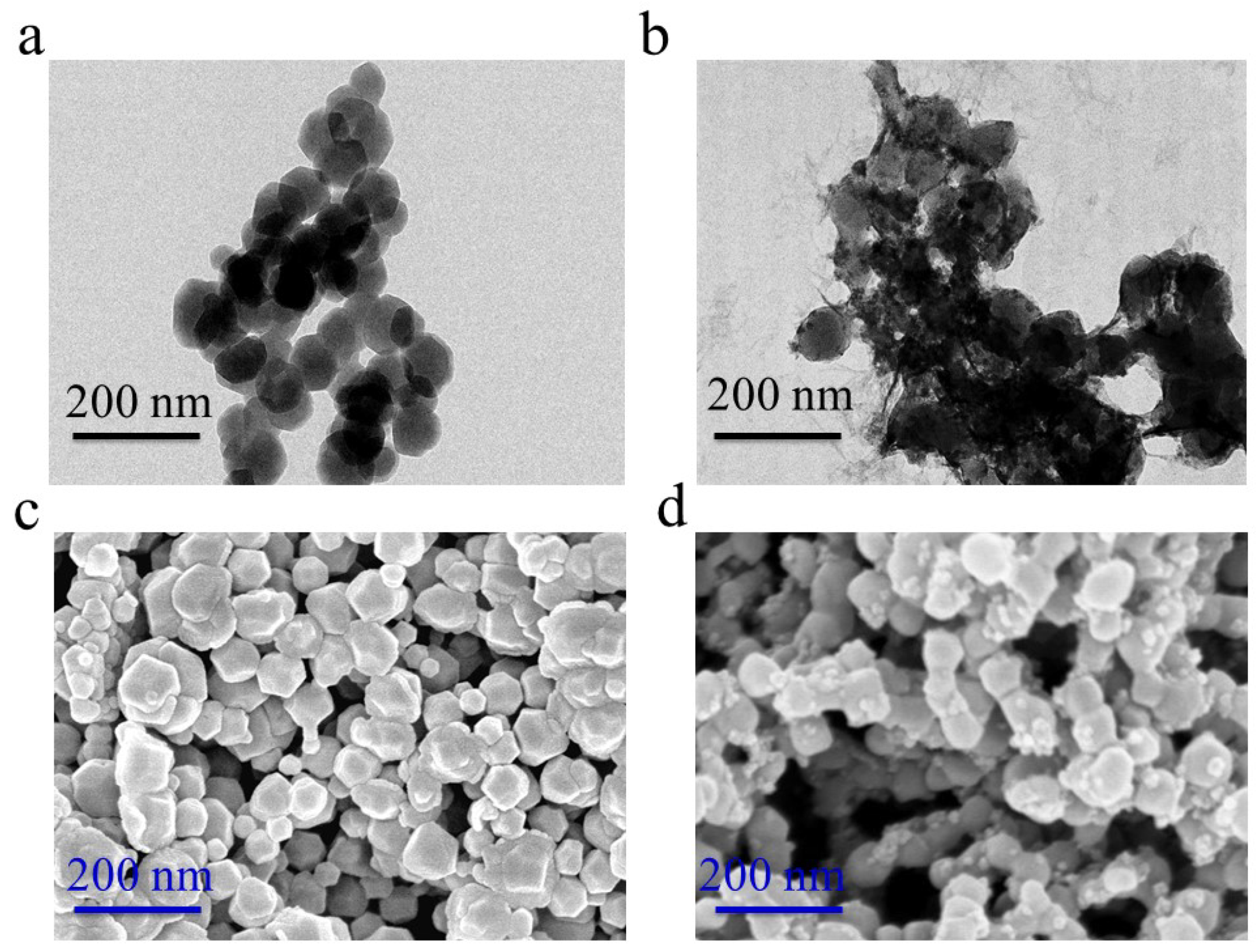 Molecules 24 02442 g005