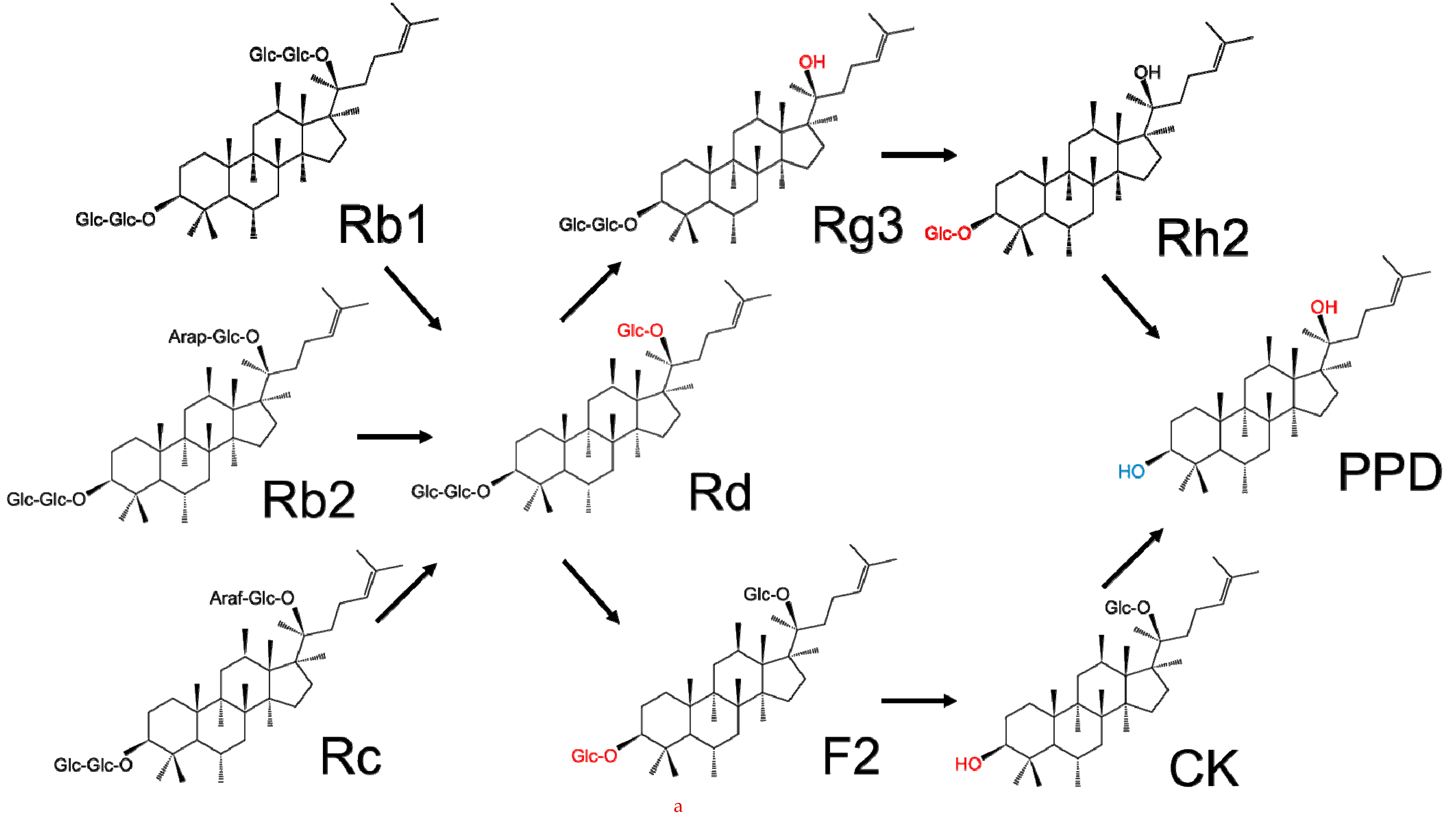 Molecules 24 02443 g002a