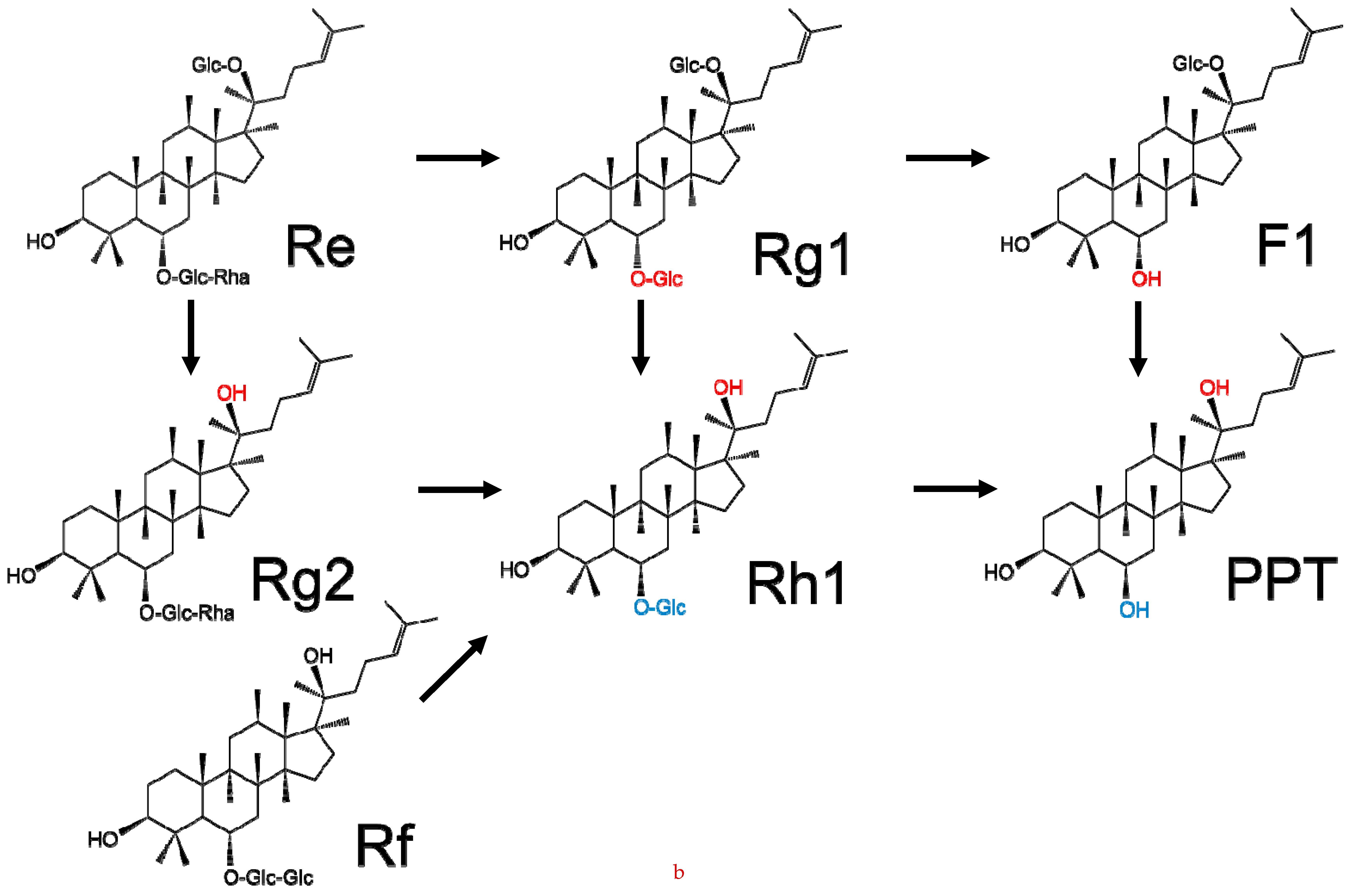 Molecules 24 02443 g002b