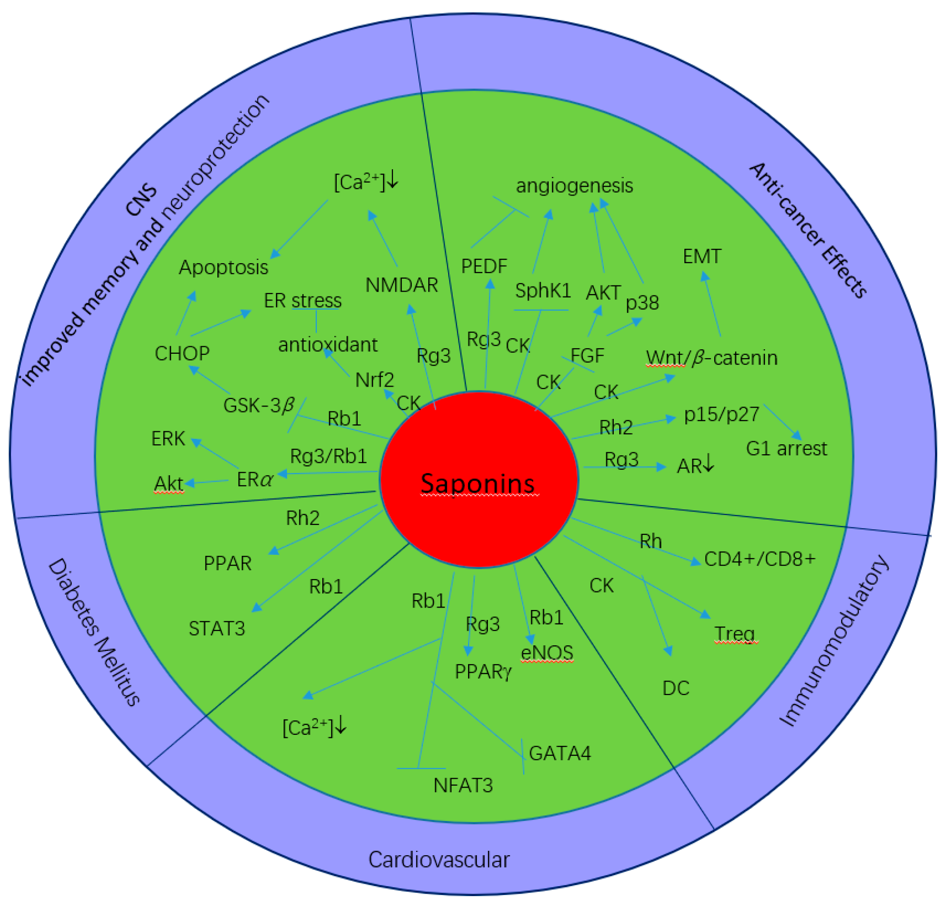 Molecules 24 02443 g003