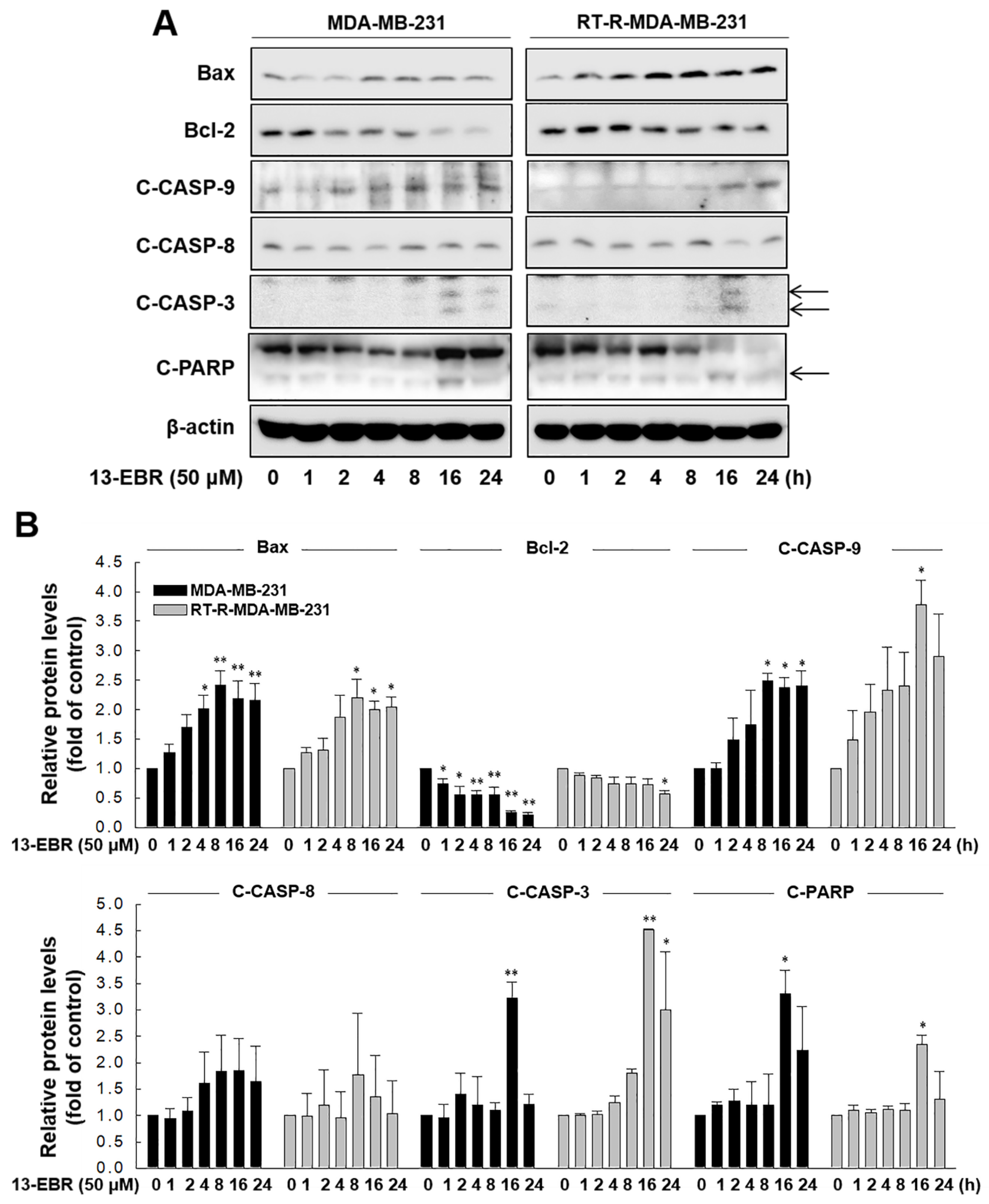 Molecules 24 02448 g004