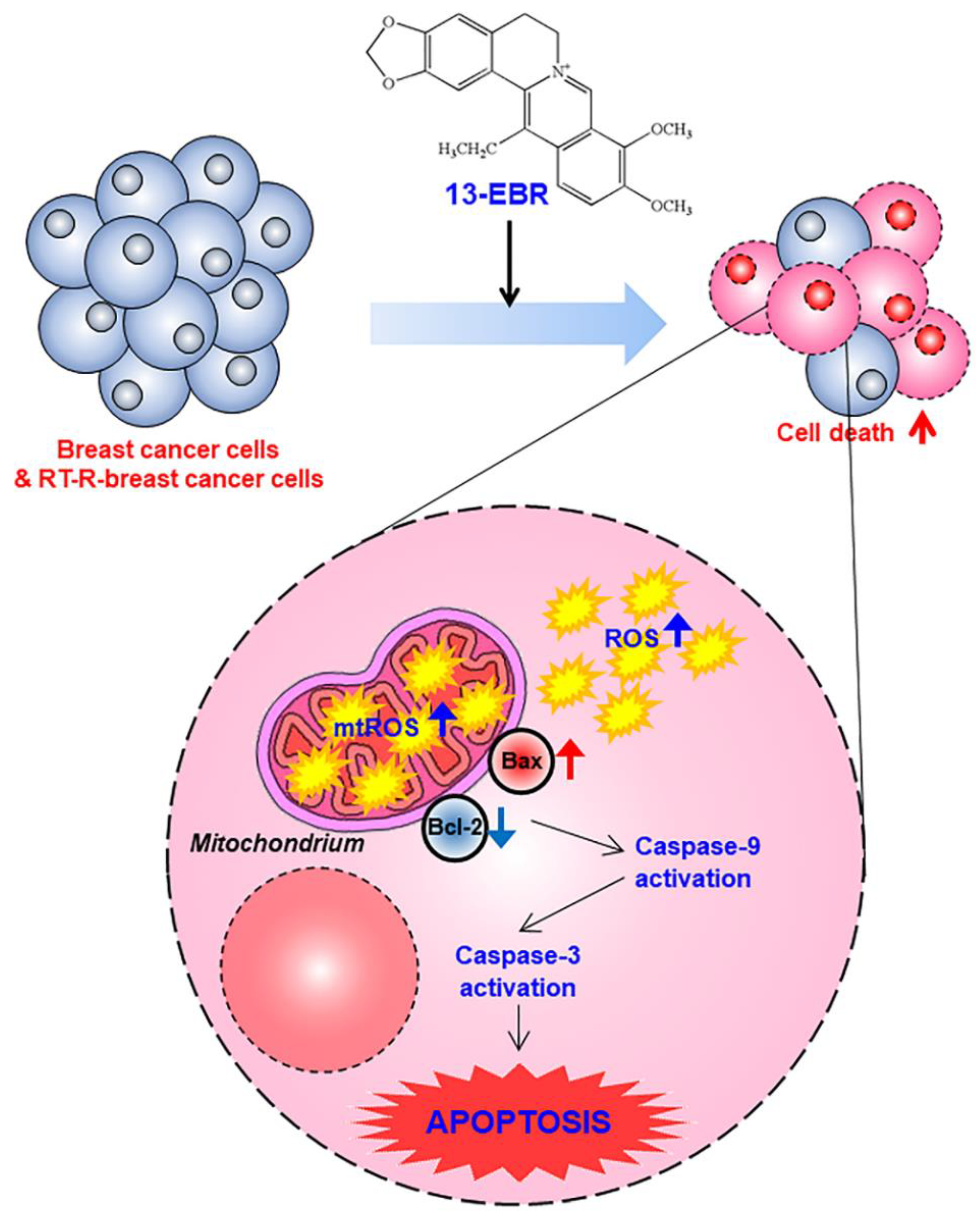 Molecules 24 02448 g005