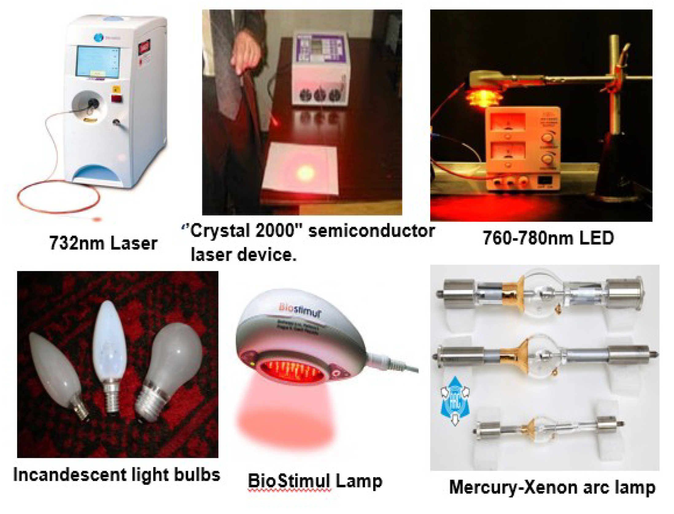 Molecules 24 02456 g007