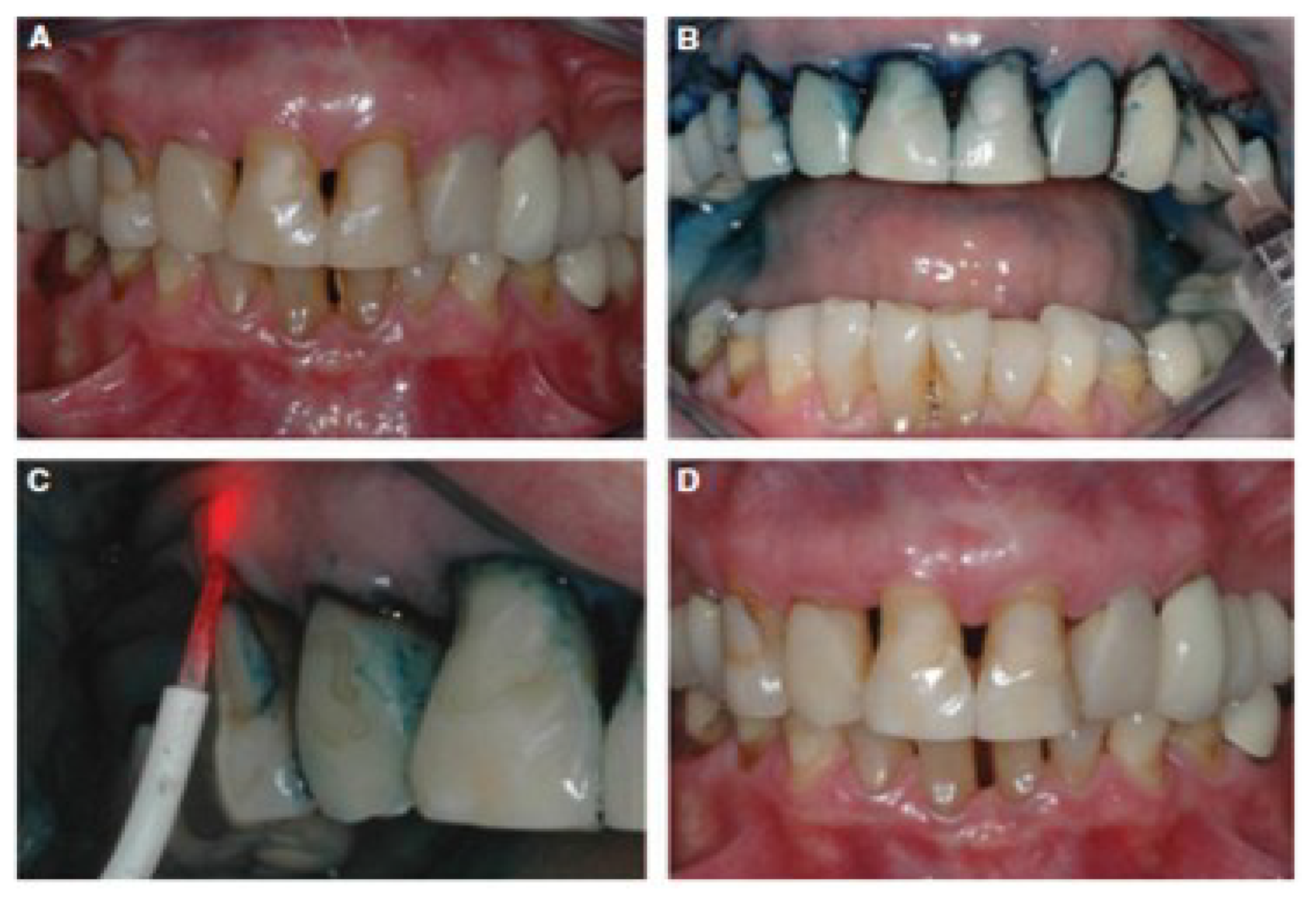 Molecules 24 02456 g012