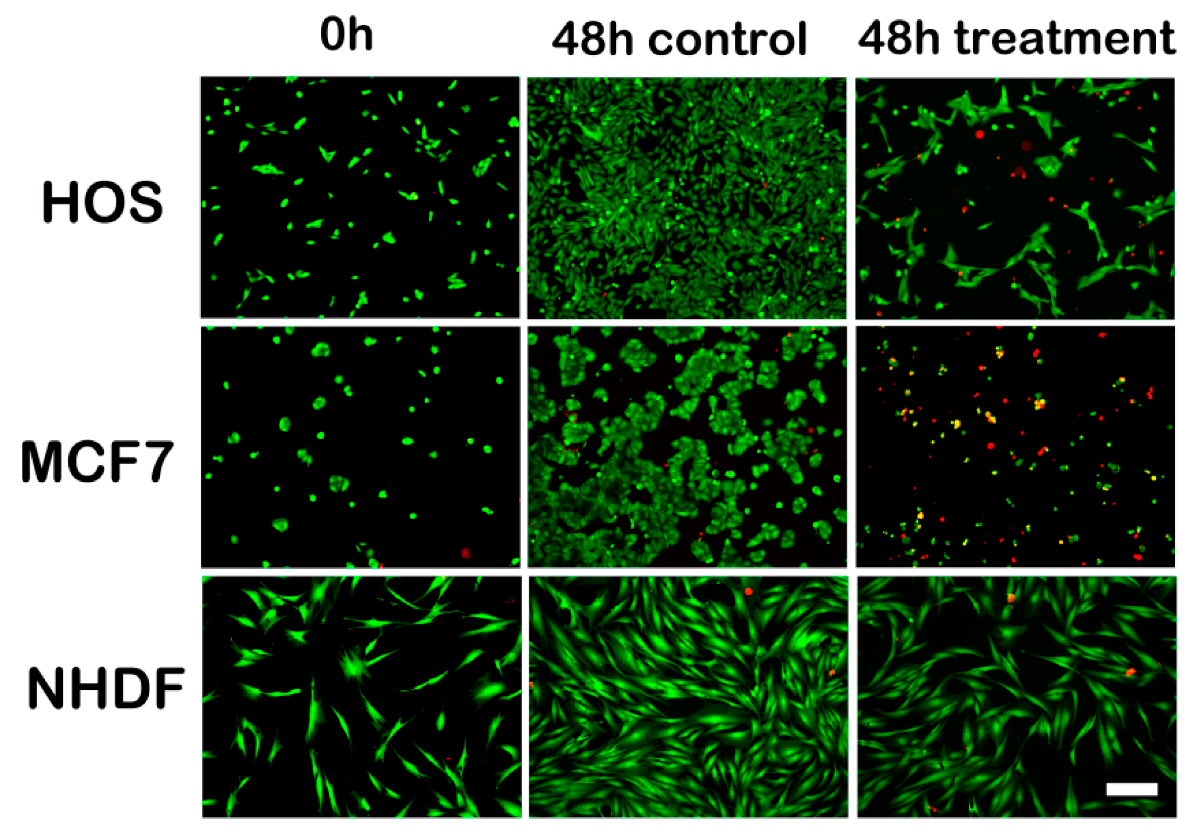 Molecules 24 02459 g005