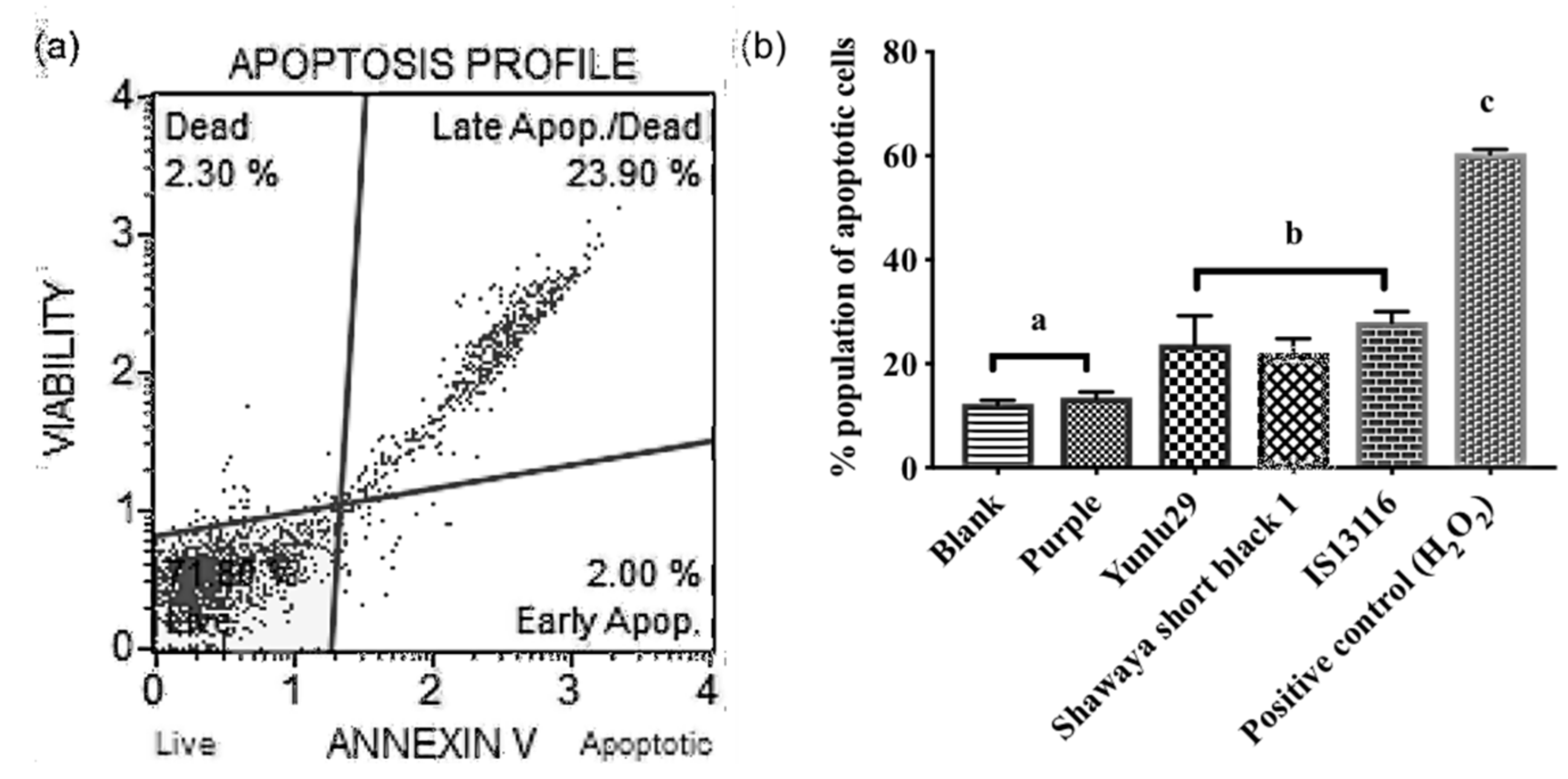 Molecules 24 02465 g003